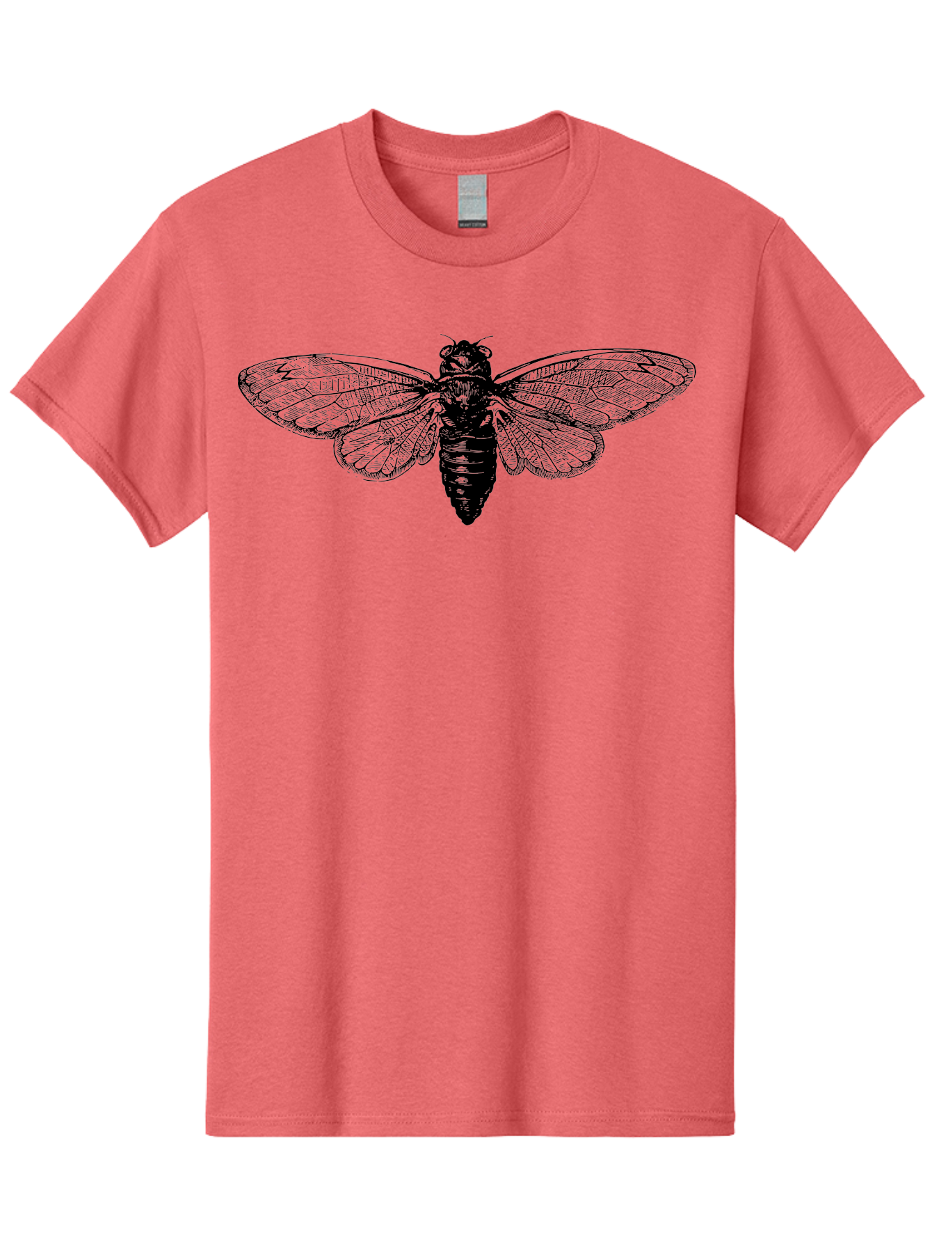 Cicada Men'S Graphic Tee, 100% Cotton, Comfortable Casual Summer Wear, Machine Washable, Cicada Insect, Insect Illustration, Bug Art, Entomology, Wildlife Graphics, Insect Wings, Detailed Drawing, Black And Green, Cicada Species Aab523