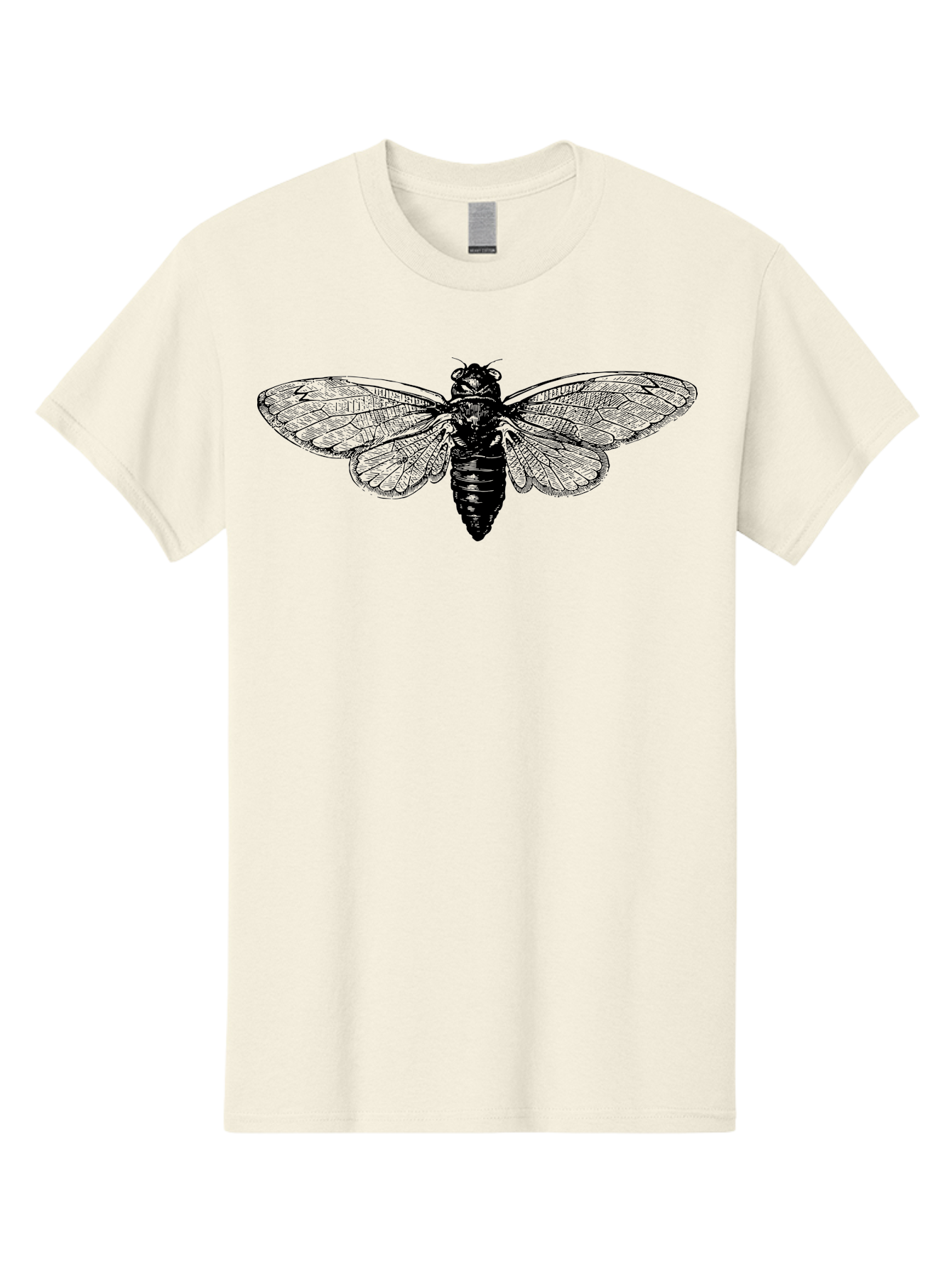Cicada Men'S Graphic Tee, 100% Cotton, Comfortable Casual Summer Wear, Machine Washable, Cicada Insect, Insect Illustration, Bug Art, Entomology, Wildlife Graphics, Insect Wings, Detailed Drawing, Black And Green, Cicada Species Aab523