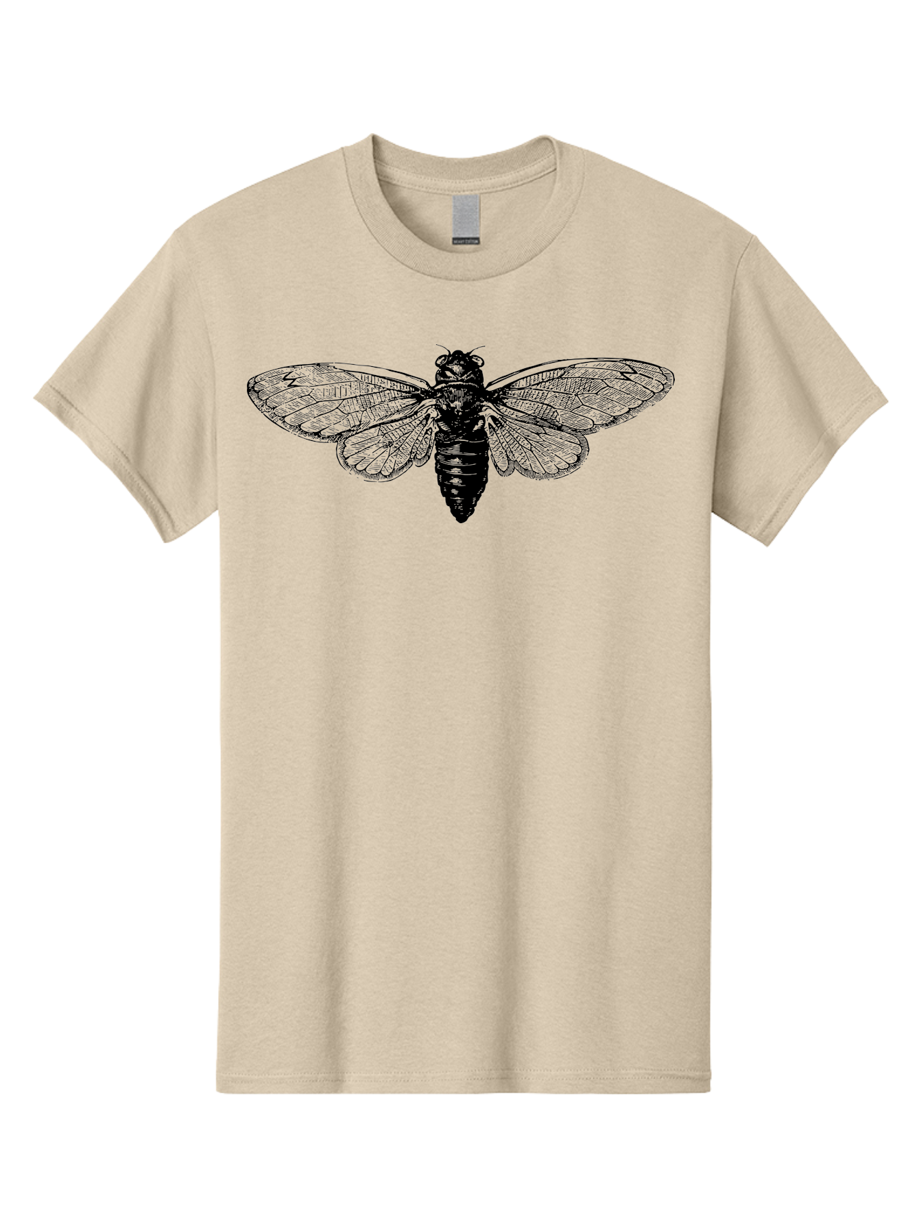 Cicada Men'S Graphic Tee, 100% Cotton, Comfortable Casual Summer Wear, Machine Washable, Cicada Insect, Insect Illustration, Bug Art, Entomology, Wildlife Graphics, Insect Wings, Detailed Drawing, Black And Green, Cicada Species Aab523
