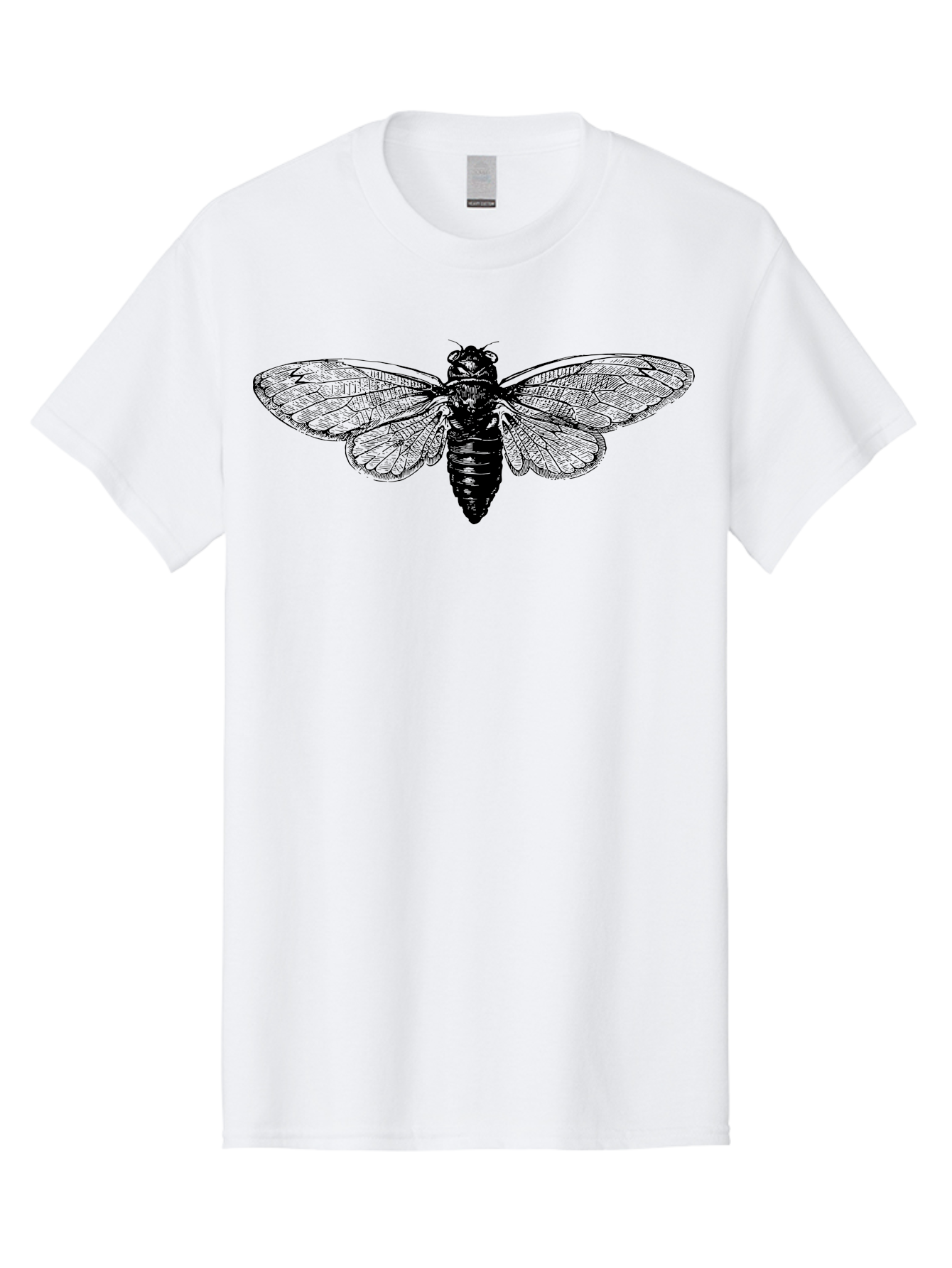Cicada Men'S Graphic Tee, 100% Cotton, Comfortable Casual Summer Wear, Machine Washable, Cicada Insect, Insect Illustration, Bug Art, Entomology, Wildlife Graphics, Insect Wings, Detailed Drawing, Black And Green, Cicada Species Aab523