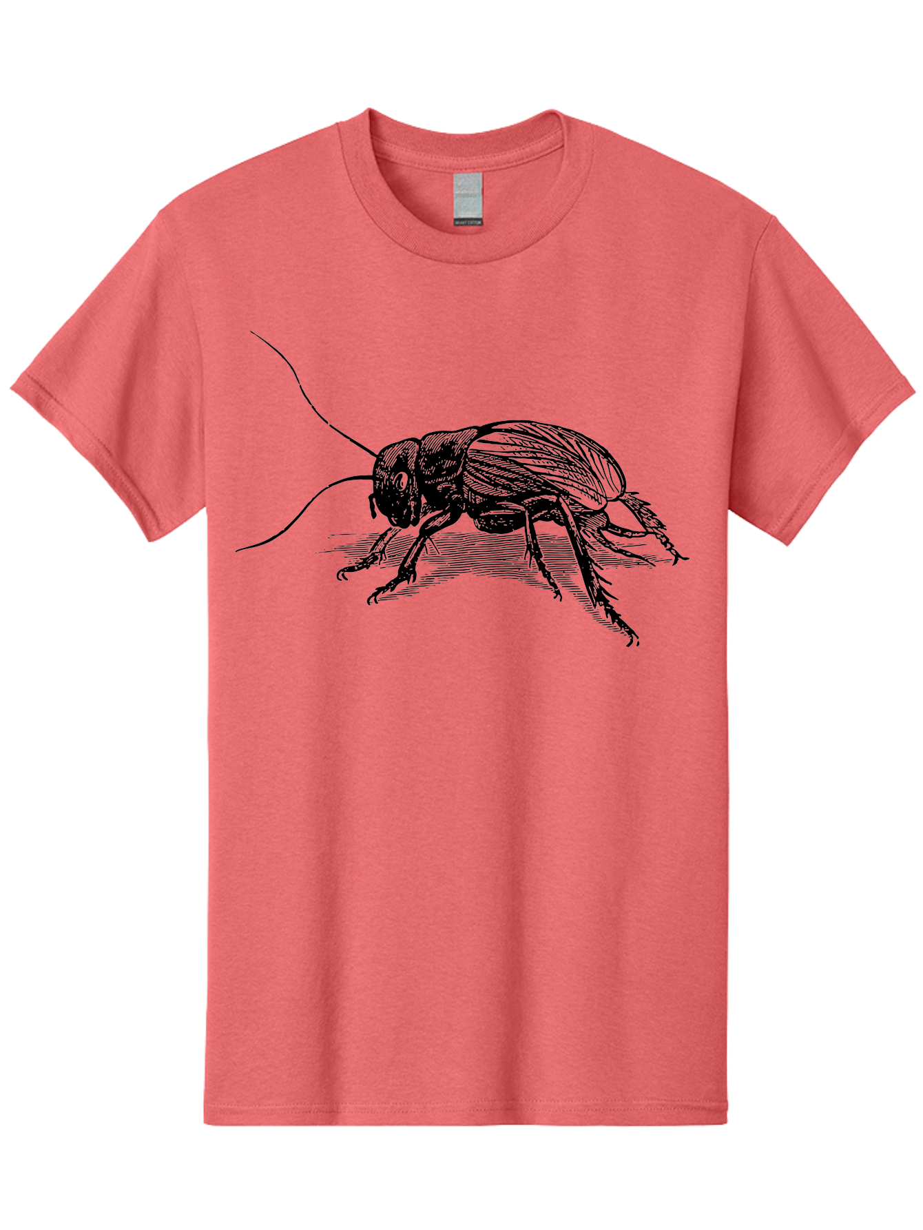 Cricket-2 Men'S Graphic Tee, 100% Cotton, Comfortable Casual Summer Wear, Machine Washable, Cricket Insect, Black Illustration, Detailed Drawing, Insect Anatomy, Entomology Art, Wildlife Illustration, Insect Wings, Long Antennae Aab525