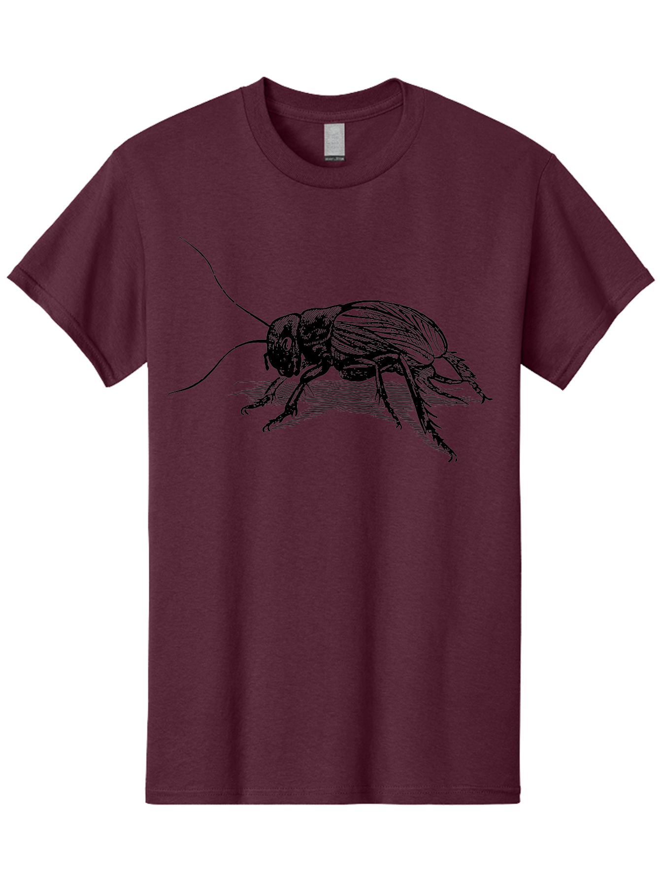 Cricket-2 Men'S Graphic Tee, 100% Cotton, Comfortable Casual Summer Wear, Machine Washable, Cricket Insect, Black Illustration, Detailed Drawing, Insect Anatomy, Entomology Art, Wildlife Illustration, Insect Wings, Long Antennae Aab525