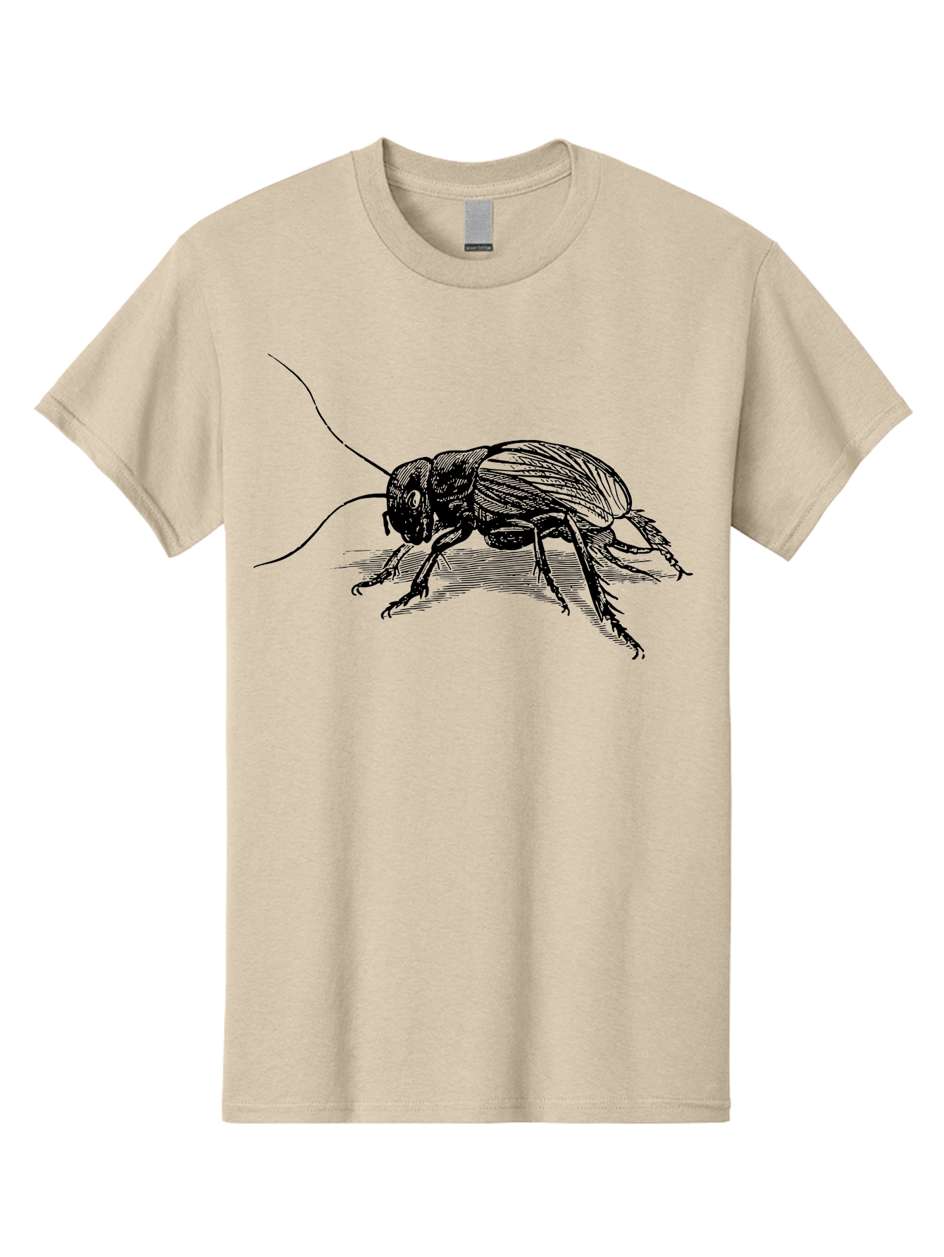 Cricket-2 Men'S Graphic Tee, 100% Cotton, Comfortable Casual Summer Wear, Machine Washable, Cricket Insect, Black Illustration, Detailed Drawing, Insect Anatomy, Entomology Art, Wildlife Illustration, Insect Wings, Long Antennae Aab525