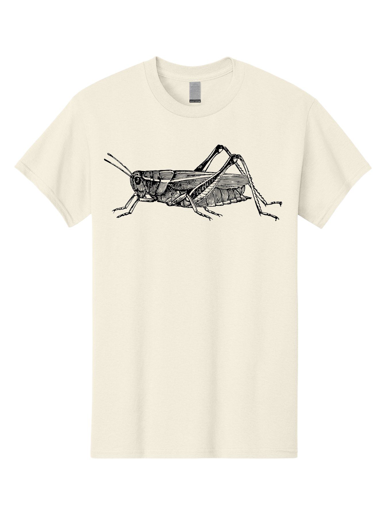 Grasshopper-Illustration Men'S Graphic Tee, 100% Cotton, Comfortable Casual Summer Wear, Machine Washable, Grasshopper Illustration, Insect Art, Detailed Drawing, Black And Green, Wildlife Graphic, Entomology, Nature Design, Bug Illustration Aab536
