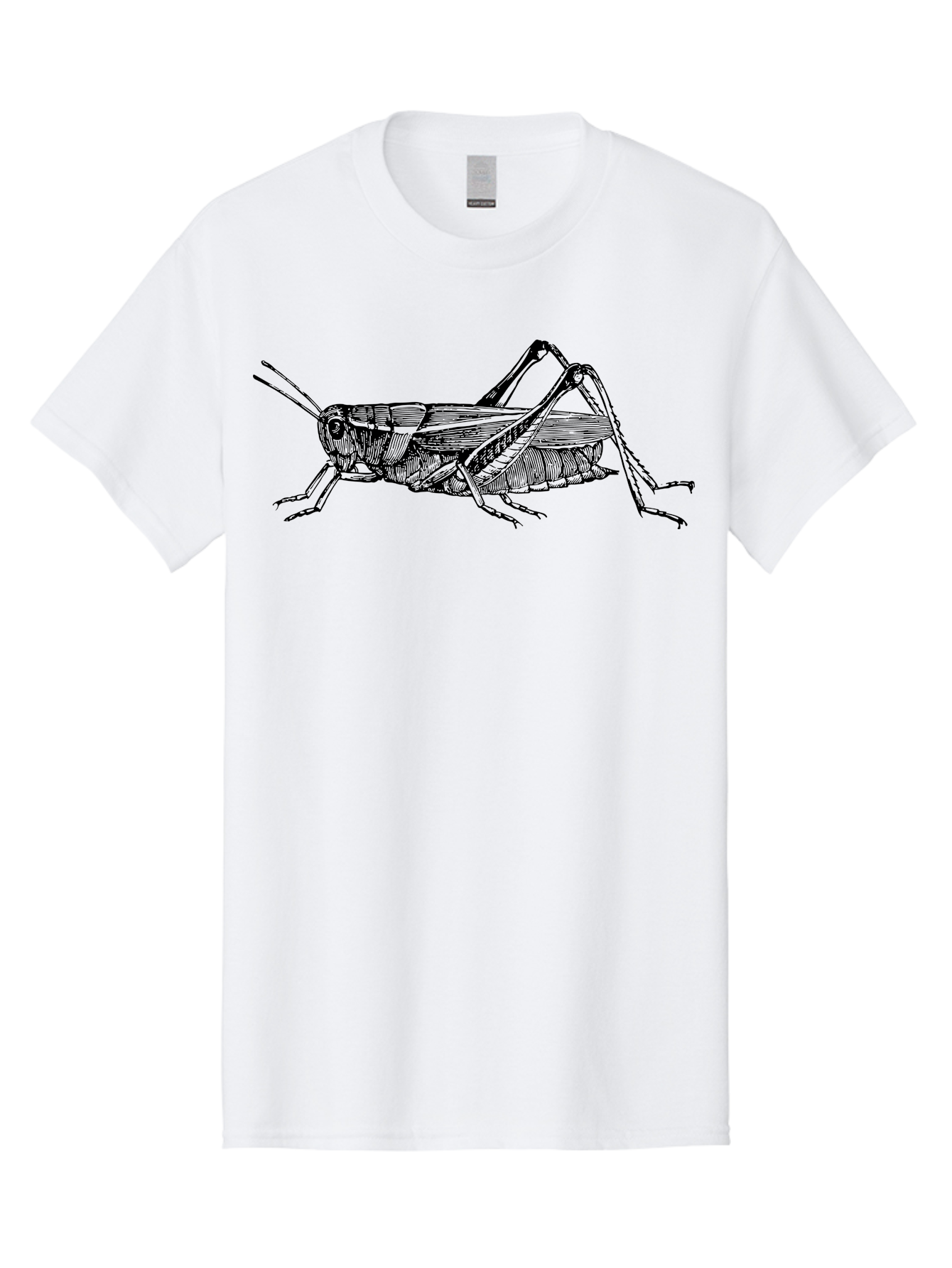 Grasshopper-Illustration Men'S Graphic Tee, 100% Cotton, Comfortable Casual Summer Wear, Machine Washable, Grasshopper Illustration, Insect Art, Detailed Drawing, Black And Green, Wildlife Graphic, Entomology, Nature Design, Bug Illustration Aab536