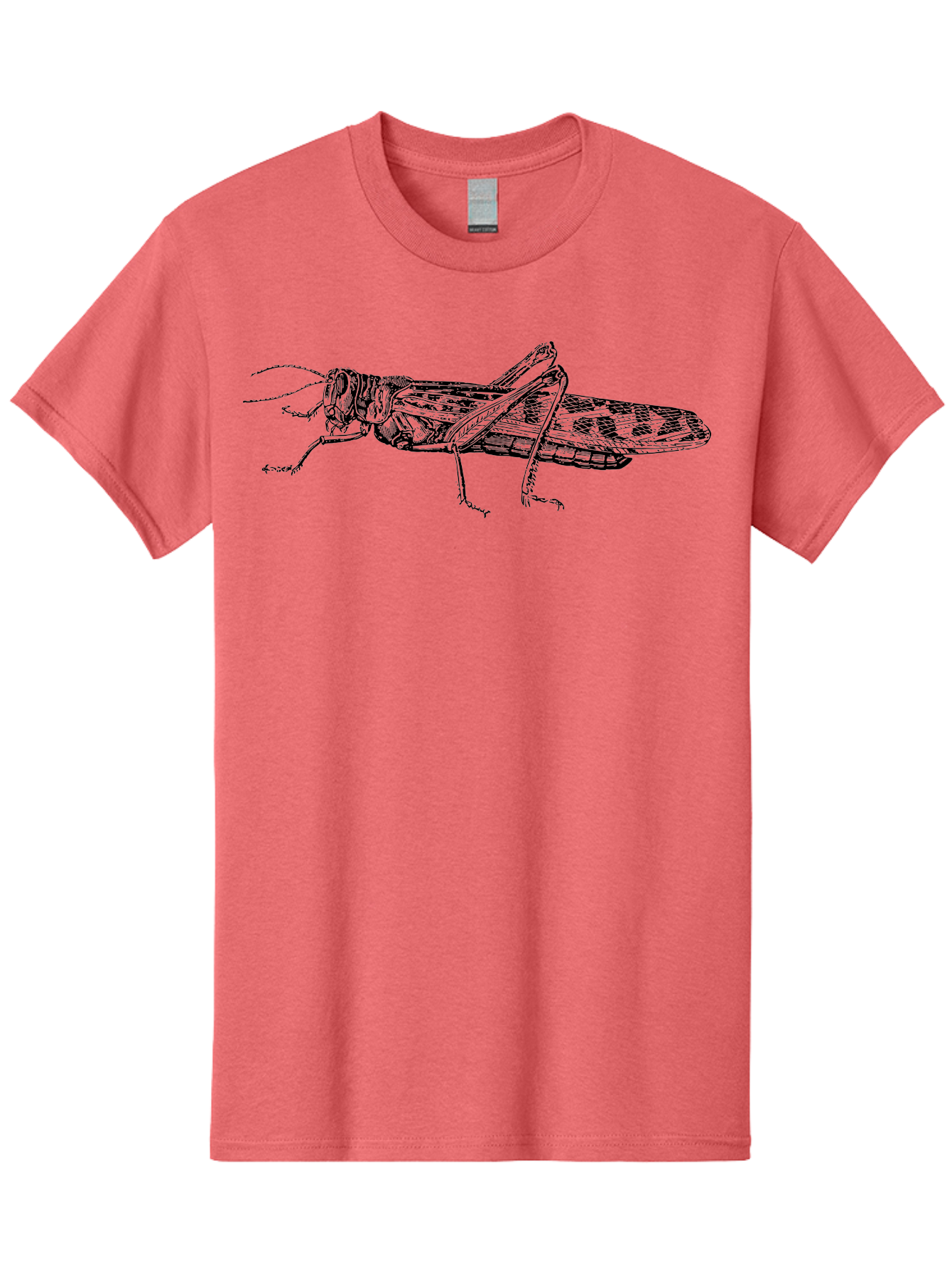 Grasshopper Men'S Graphic Tee, 100% Cotton, Comfortable Casual Summer Wear, Machine Washable, Detailed Illustration, Grasshopper, Insect, Entomology, Wildlife, Sketch Art, Black Lines, Detailed Drawing, Fauna, Zoology Aab537