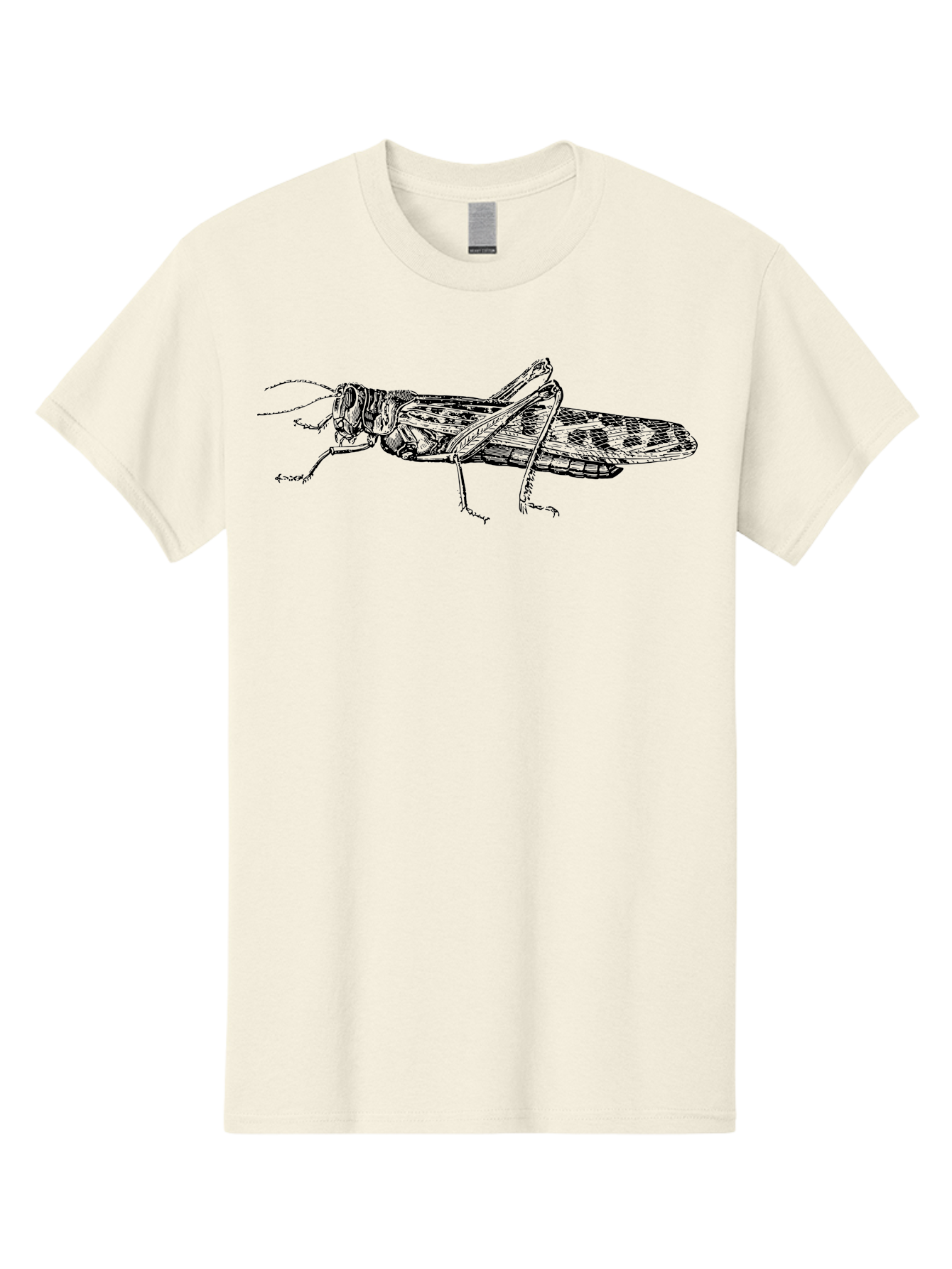 Grasshopper Men'S Graphic Tee, 100% Cotton, Comfortable Casual Summer Wear, Machine Washable, Detailed Illustration, Grasshopper, Insect, Entomology, Wildlife, Sketch Art, Black Lines, Detailed Drawing, Fauna, Zoology Aab537