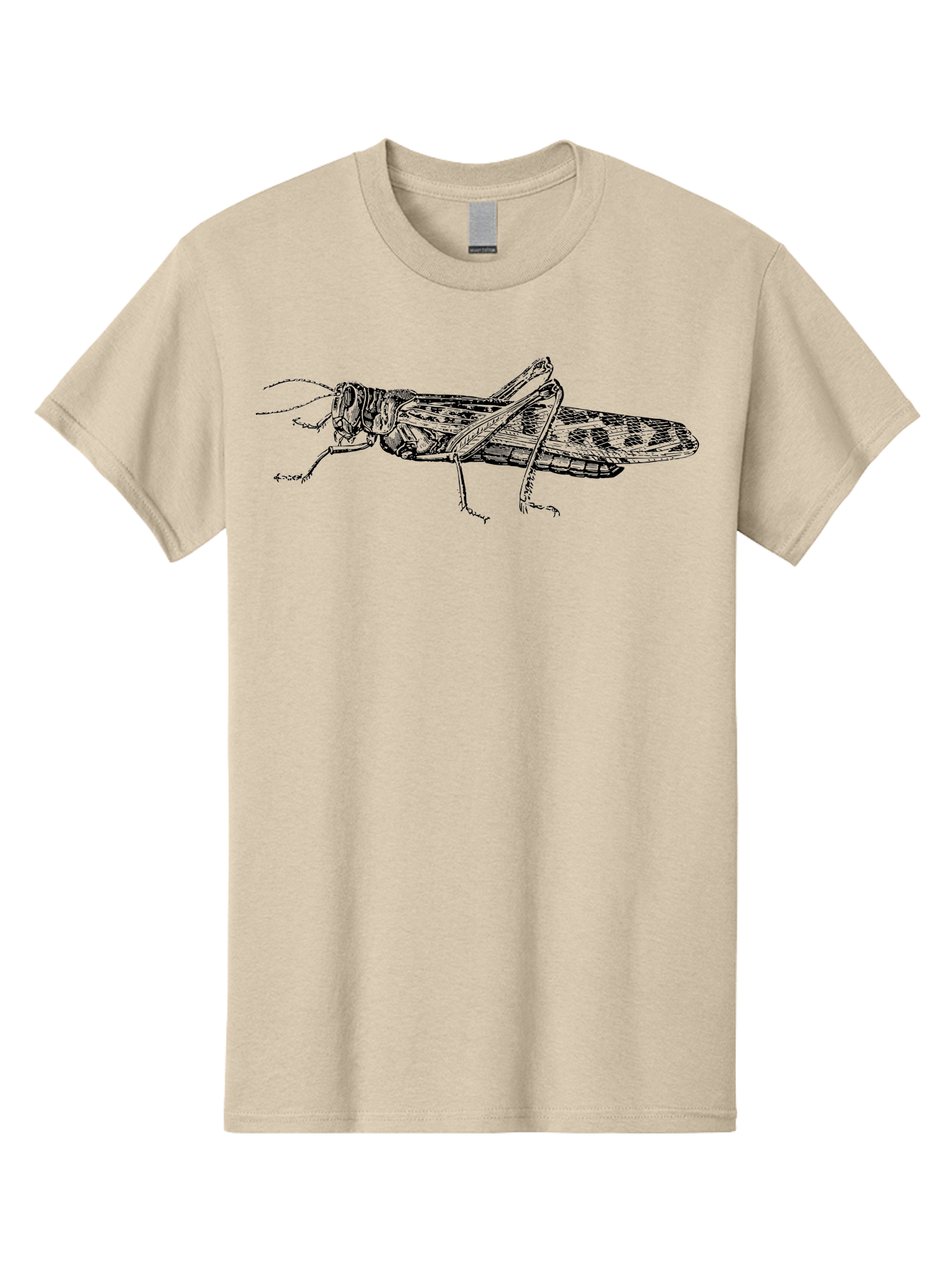 Grasshopper Men'S Graphic Tee, 100% Cotton, Comfortable Casual Summer Wear, Machine Washable, Detailed Illustration, Grasshopper, Insect, Entomology, Wildlife, Sketch Art, Black Lines, Detailed Drawing, Fauna, Zoology Aab537