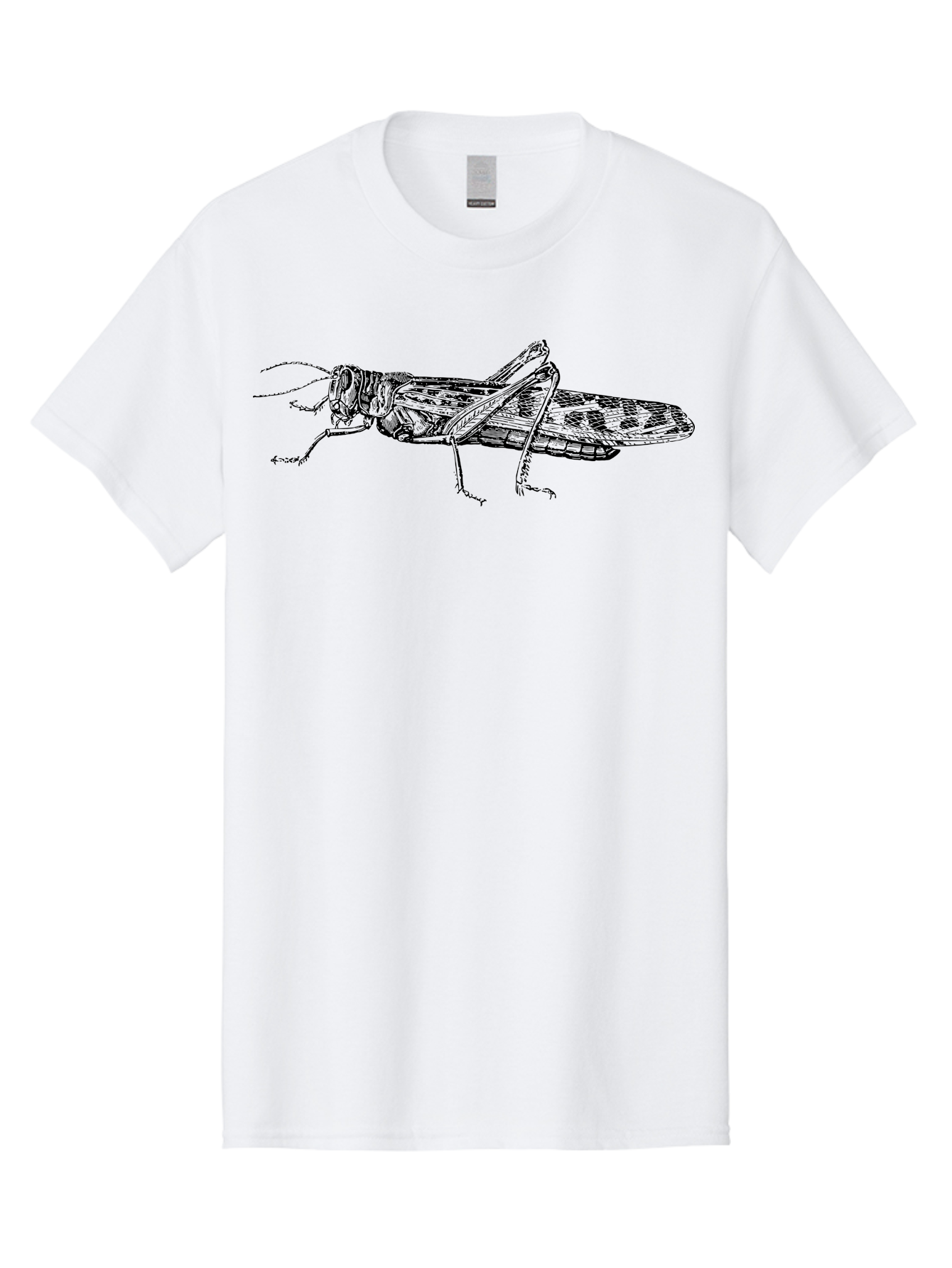 Grasshopper Men'S Graphic Tee, 100% Cotton, Comfortable Casual Summer Wear, Machine Washable, Detailed Illustration, Grasshopper, Insect, Entomology, Wildlife, Sketch Art, Black Lines, Detailed Drawing, Fauna, Zoology Aab537