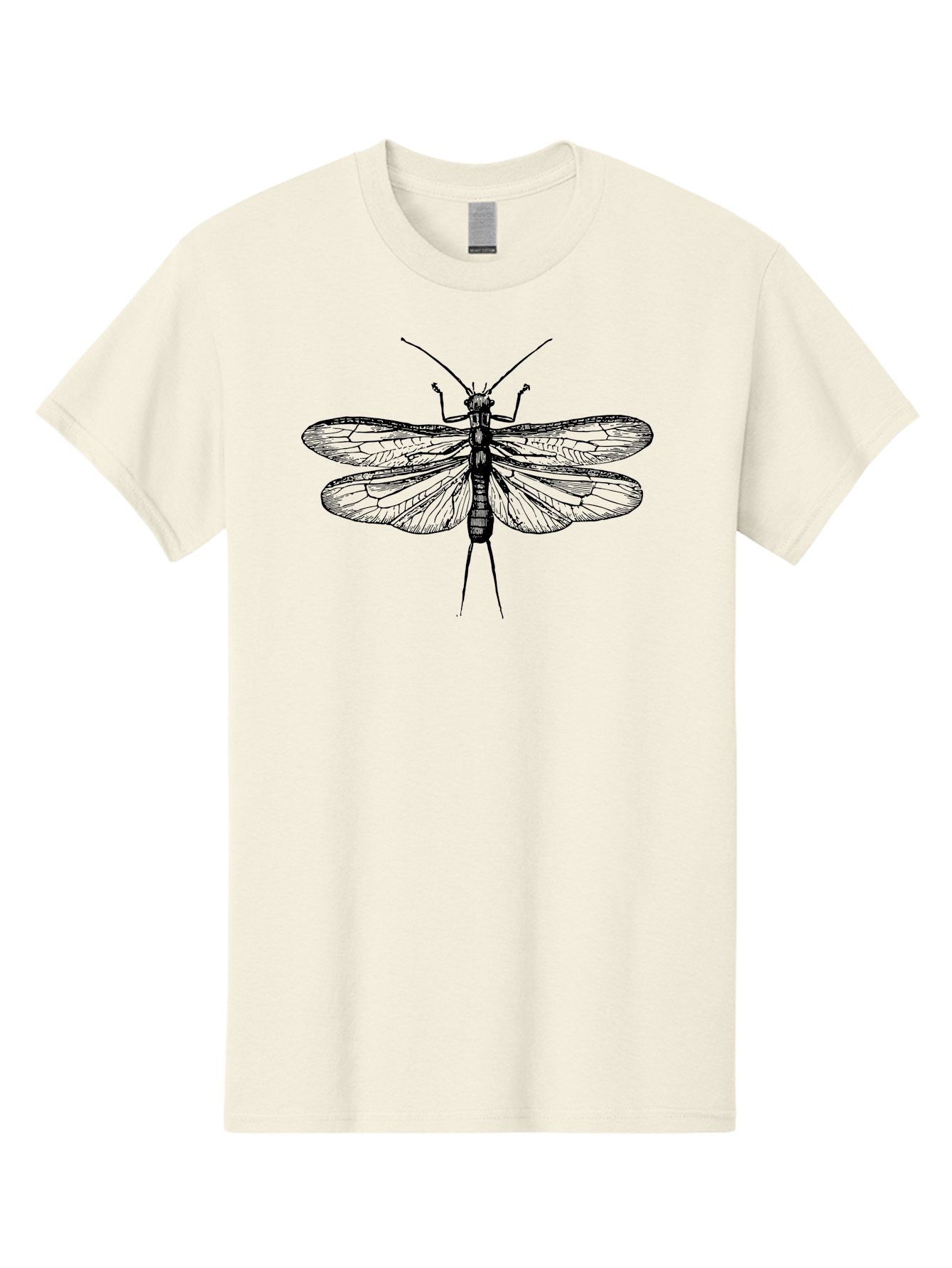Katydid Men'S Graphic Tee, 100% Cotton, Comfortable Casual Summer Wear, Machine Washable, Black Cricket Illustration, Insect Art, Detailed Drawing, Winged Creature, Entomology, Insect Wings, Detailed Lines, Graphic Design Aab540