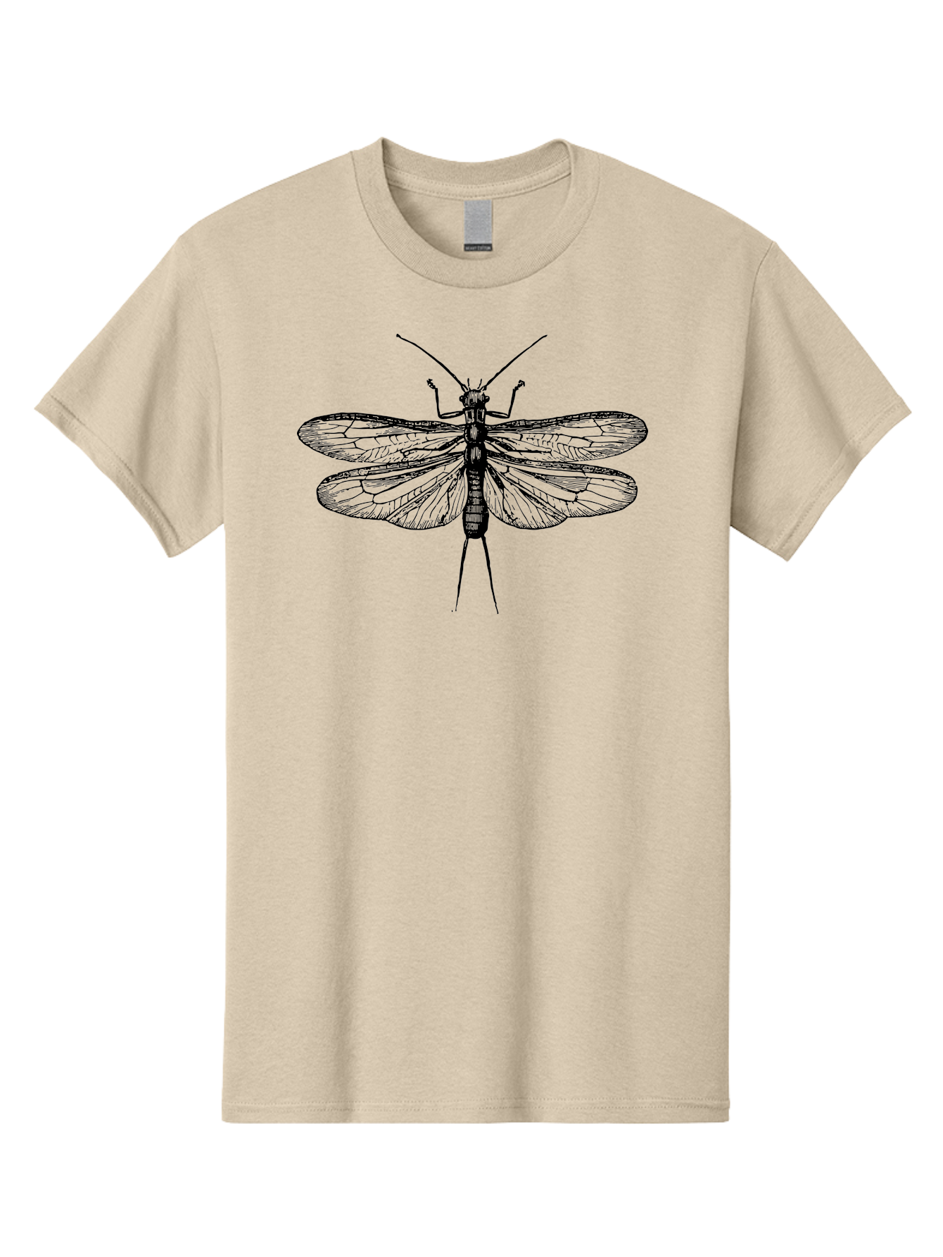 Katydid Men'S Graphic Tee, 100% Cotton, Comfortable Casual Summer Wear, Machine Washable, Black Cricket Illustration, Insect Art, Detailed Drawing, Winged Creature, Entomology, Insect Wings, Detailed Lines, Graphic Design Aab540