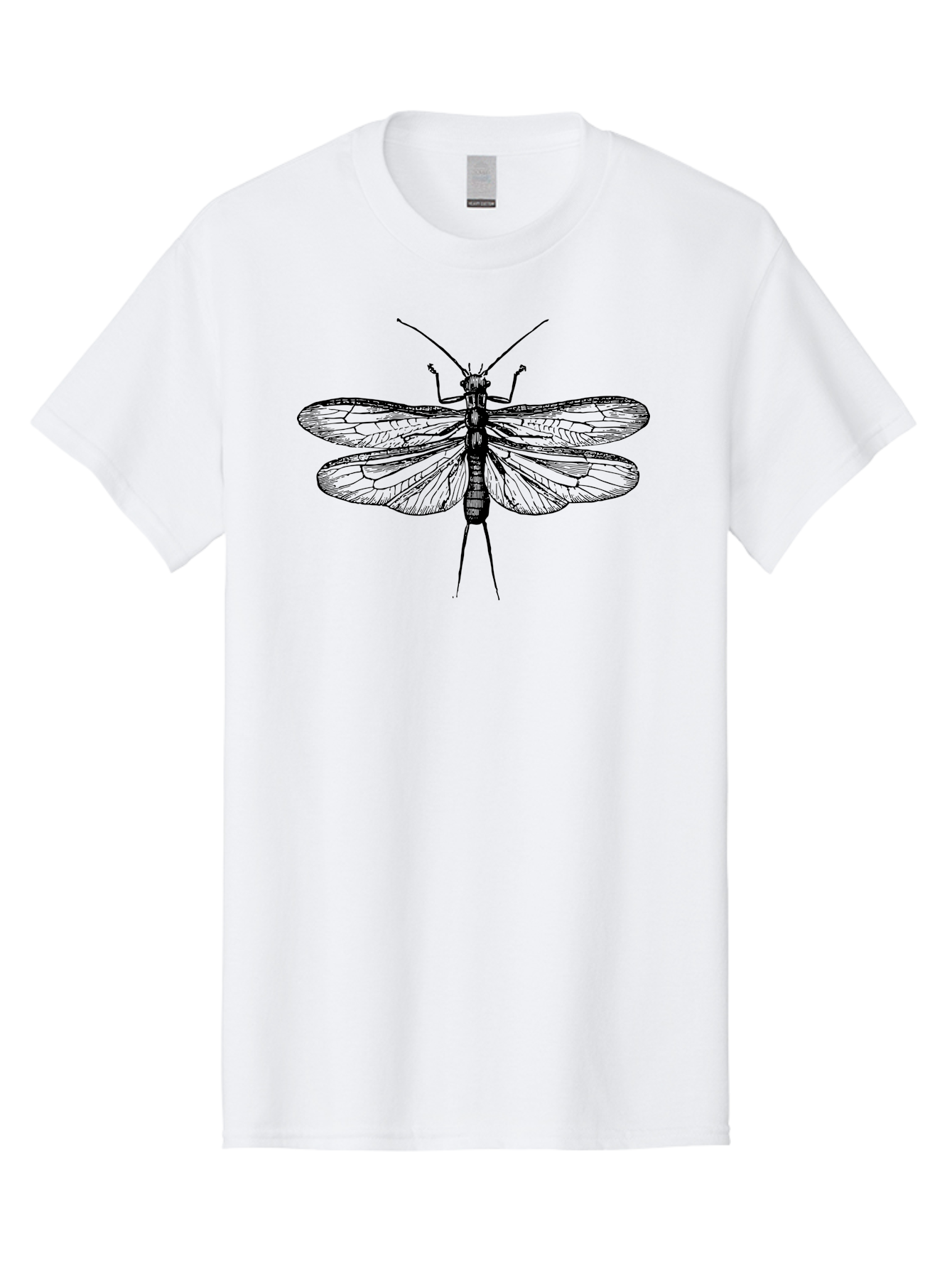 Katydid Men'S Graphic Tee, 100% Cotton, Comfortable Casual Summer Wear, Machine Washable, Black Cricket Illustration, Insect Art, Detailed Drawing, Winged Creature, Entomology, Insect Wings, Detailed Lines, Graphic Design Aab540