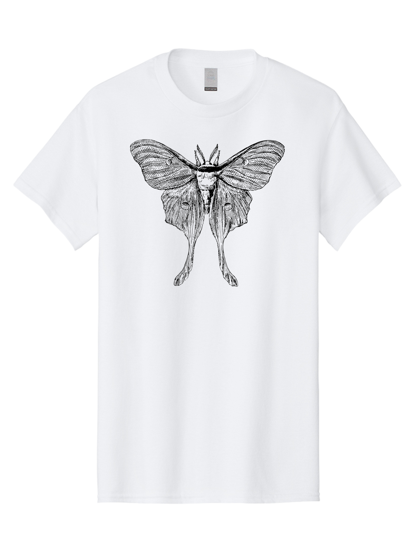 Luna-Moth Men'S Graphic Tee, 100% Cotton, Comfortable Casual Summer Wear, Machine Washable, Luna Moth, Insect Art, Entomology Illustration, Detailed Drawing, Natural History Art, Wingspan, Nocturnal Creature, Gothic Aesthetic, Aab543