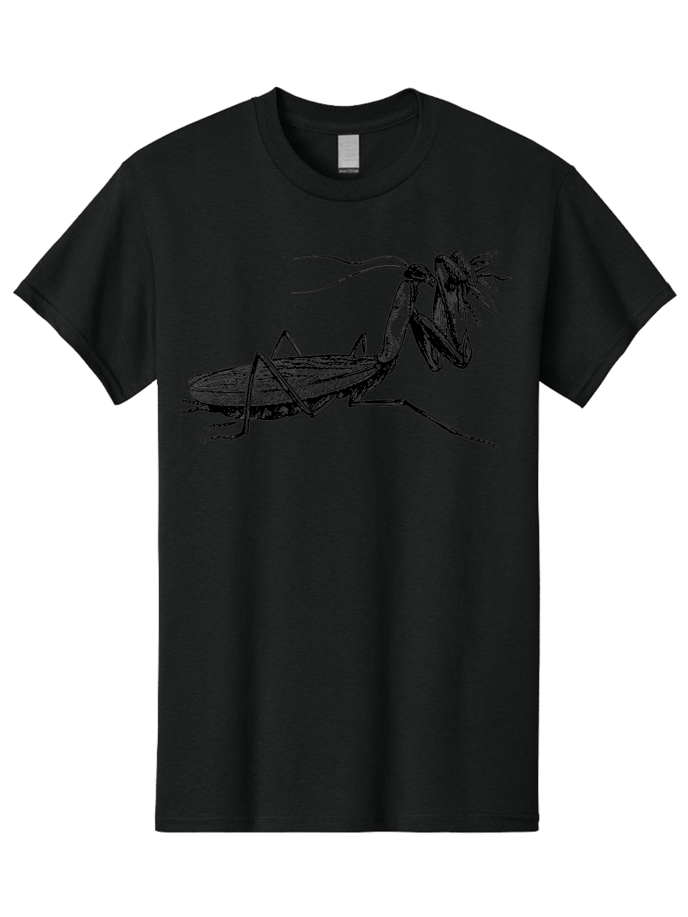 Mantis-Eating-Fly Men'S Graphic Tee, 100% Cotton, Comfortable Casual Summer Wear, Machine Washable, Praying Mantis Eating A Fly, Insect Predator, Detailed Illustration, Black And Green, Entomology Art, Wildlife Photography, Insect Behavior Aab544