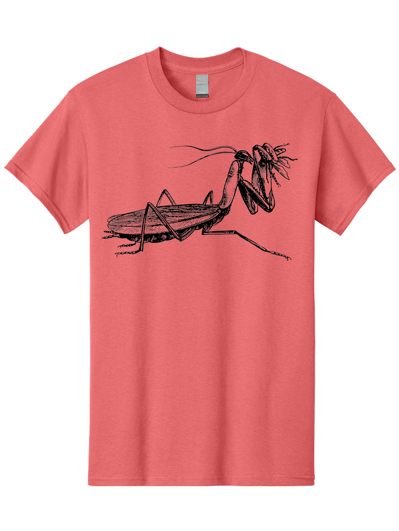 Mantis-Eating-Fly Men'S Graphic Tee, 100% Cotton, Comfortable Casual Summer Wear, Machine Washable, Praying Mantis Eating A Fly, Insect Predator, Detailed Illustration, Black And Green, Entomology Art, Wildlife Photography, Insect Behavior Aab544