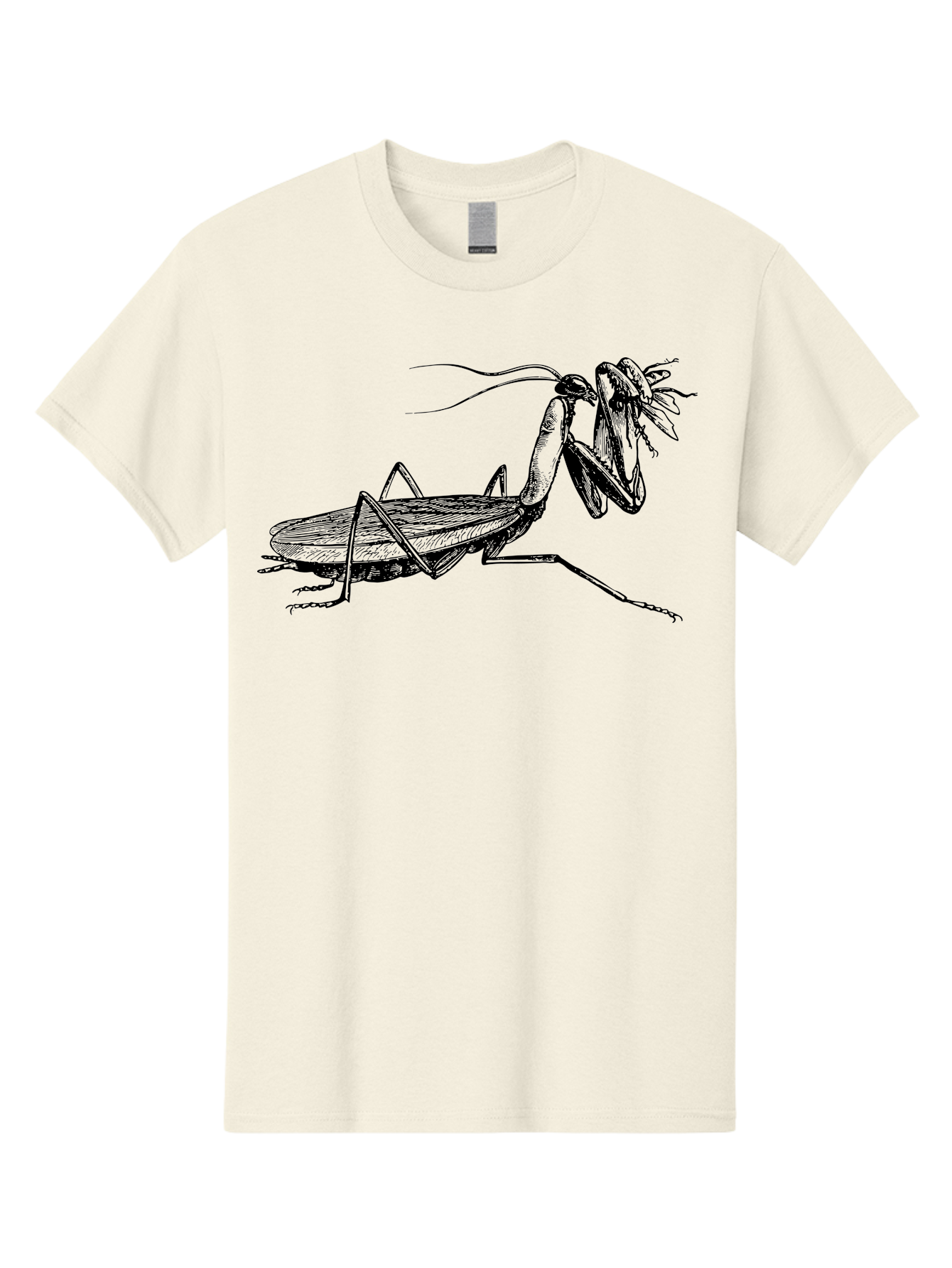 Mantis-Eating-Fly Men'S Graphic Tee, 100% Cotton, Comfortable Casual Summer Wear, Machine Washable, Praying Mantis Eating A Fly, Insect Predator, Detailed Illustration, Black And Green, Entomology Art, Wildlife Photography, Insect Behavior Aab544