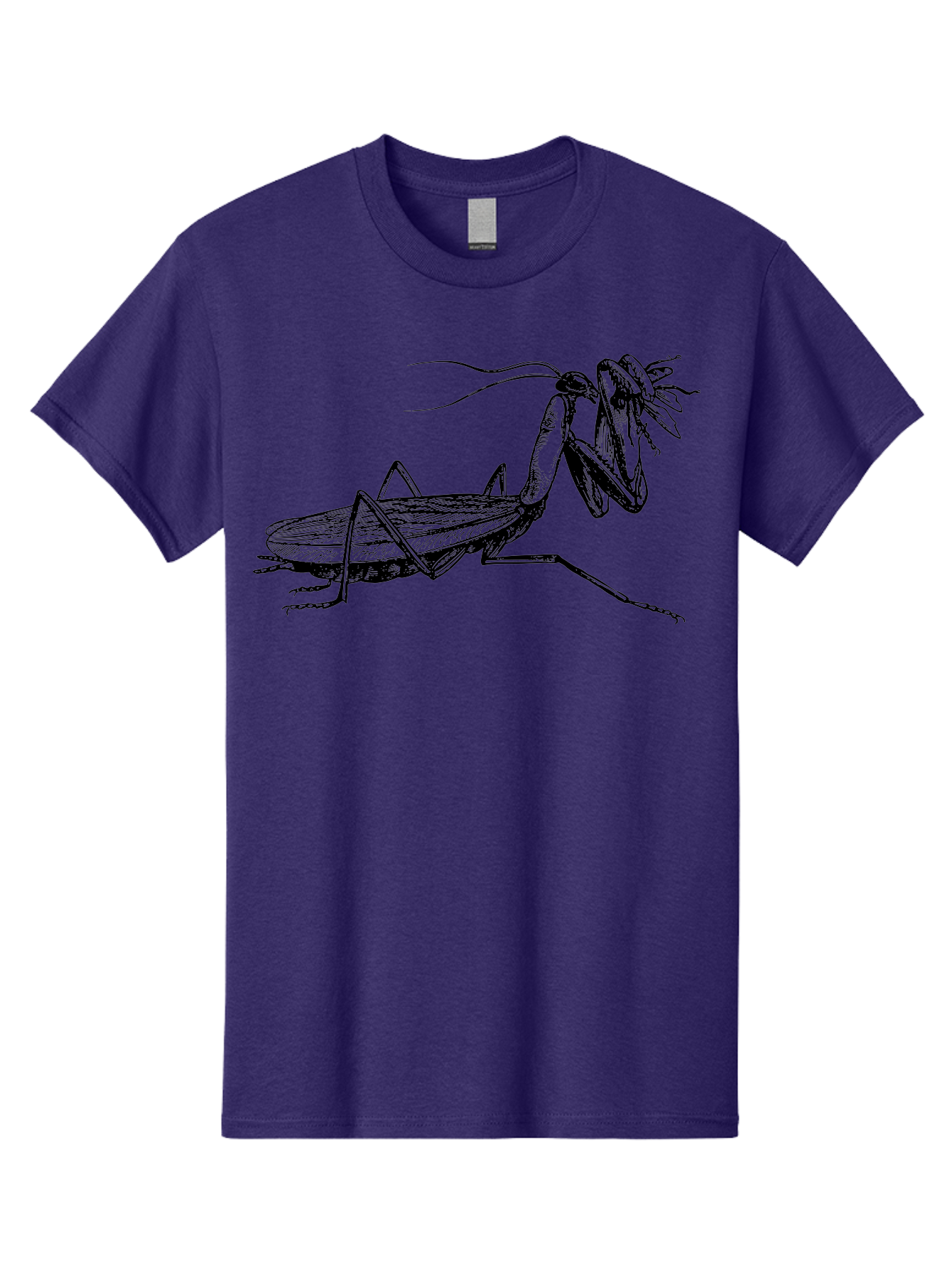 Mantis-Eating-Fly Men'S Graphic Tee, 100% Cotton, Comfortable Casual Summer Wear, Machine Washable, Praying Mantis Eating A Fly, Insect Predator, Detailed Illustration, Black And Green, Entomology Art, Wildlife Photography, Insect Behavior Aab544