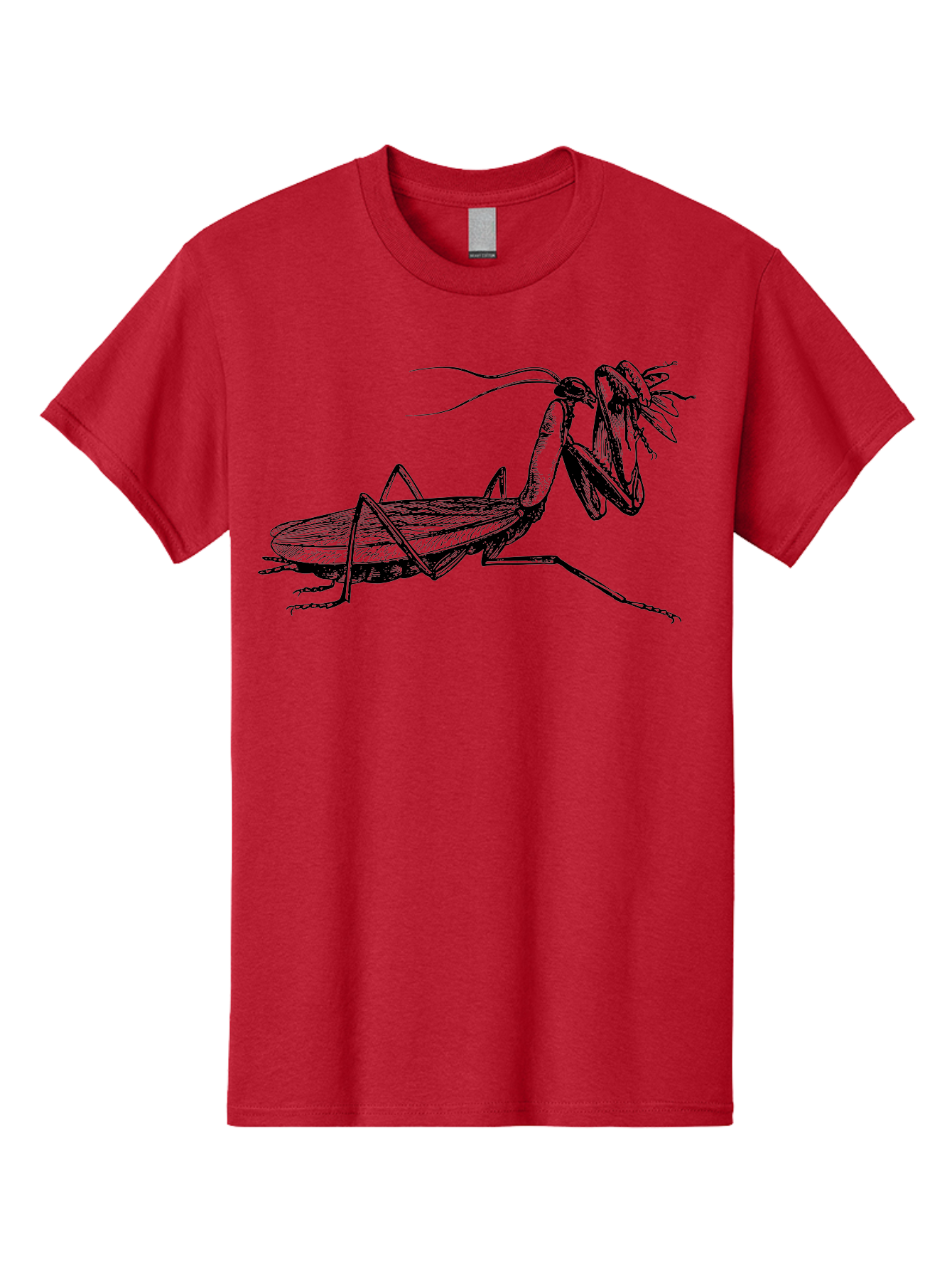 Mantis-Eating-Fly Men'S Graphic Tee, 100% Cotton, Comfortable Casual Summer Wear, Machine Washable, Praying Mantis Eating A Fly, Insect Predator, Detailed Illustration, Black And Green, Entomology Art, Wildlife Photography, Insect Behavior Aab544