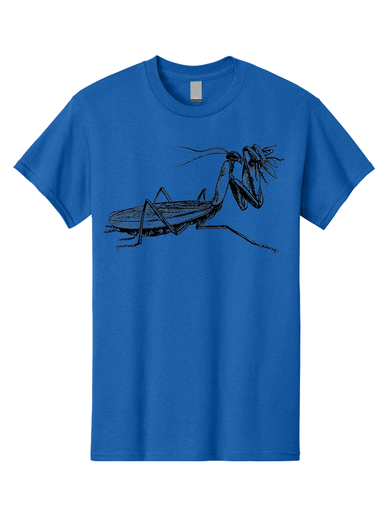 Mantis-Eating-Fly Men'S Graphic Tee, 100% Cotton, Comfortable Casual Summer Wear, Machine Washable, Praying Mantis Eating A Fly, Insect Predator, Detailed Illustration, Black And Green, Entomology Art, Wildlife Photography, Insect Behavior Aab544