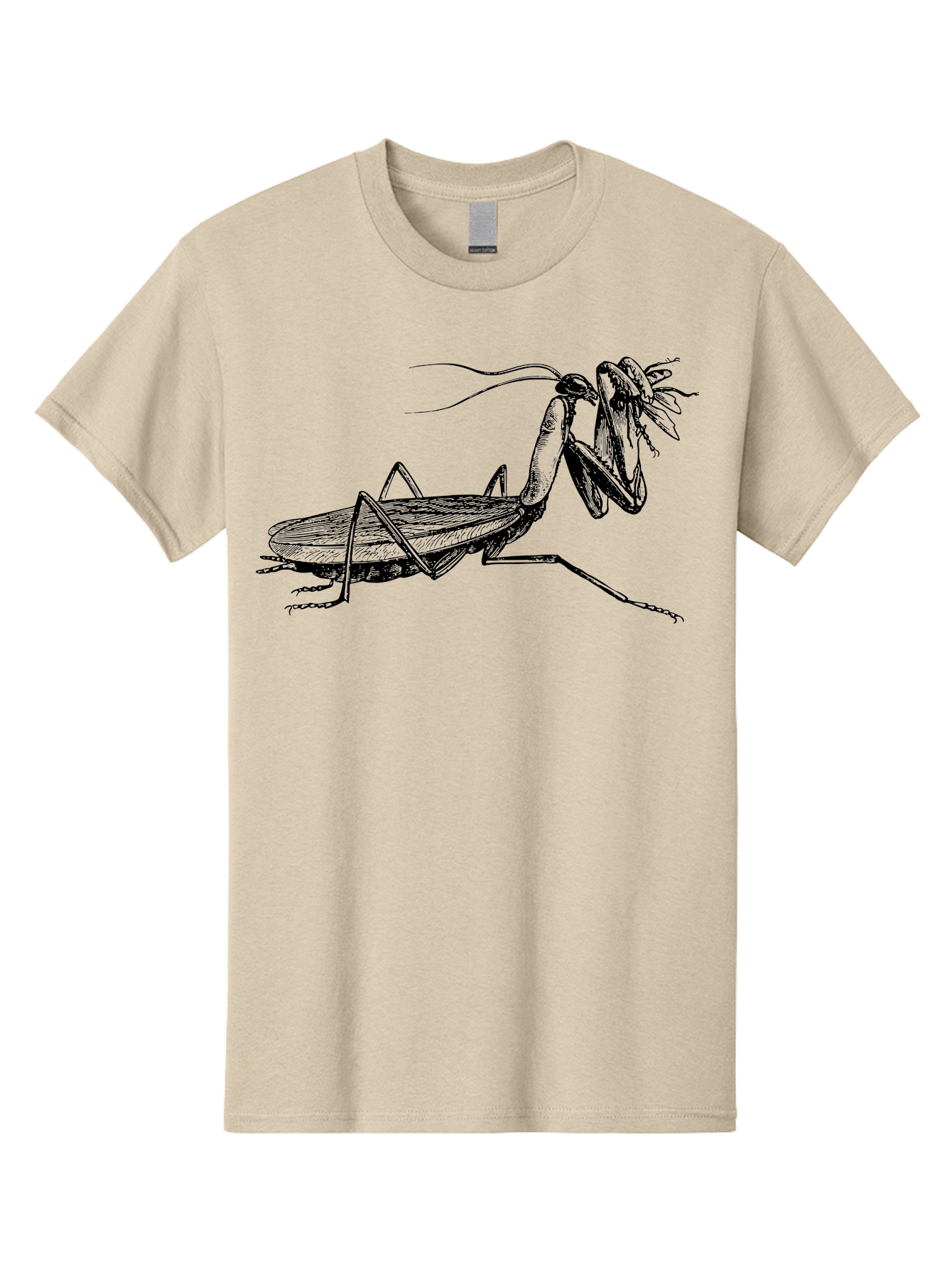 Mantis-Eating-Fly Men'S Graphic Tee, 100% Cotton, Comfortable Casual Summer Wear, Machine Washable, Praying Mantis Eating A Fly, Insect Predator, Detailed Illustration, Black And Green, Entomology Art, Wildlife Photography, Insect Behavior Aab544