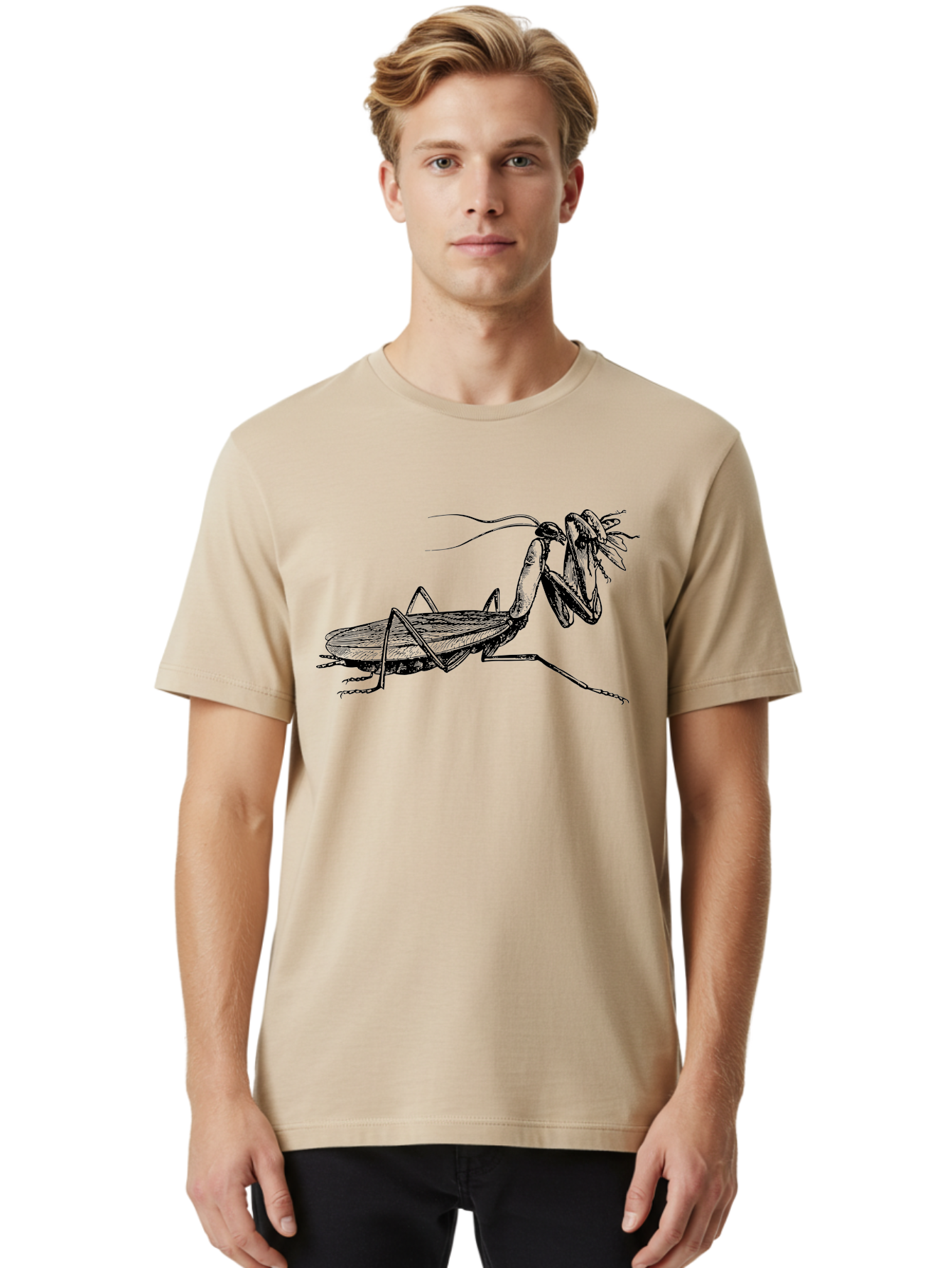 Mantis-Eating-Fly Men'S Graphic Tee, 100% Cotton, Comfortable Casual Summer Wear, Machine Washable, Praying Mantis Eating A Fly, Insect Predator, Detailed Illustration, Black And Green, Entomology Art, Wildlife Photography, Insect Behavior Aab544