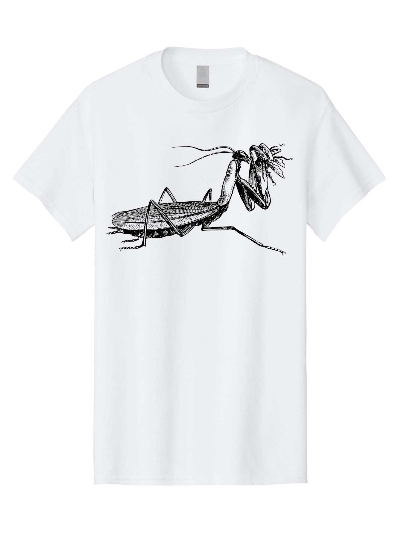 Mantis-Eating-Fly Men'S Graphic Tee, 100% Cotton, Comfortable Casual Summer Wear, Machine Washable, Praying Mantis Eating A Fly, Insect Predator, Detailed Illustration, Black And Green, Entomology Art, Wildlife Photography, Insect Behavior Aab544