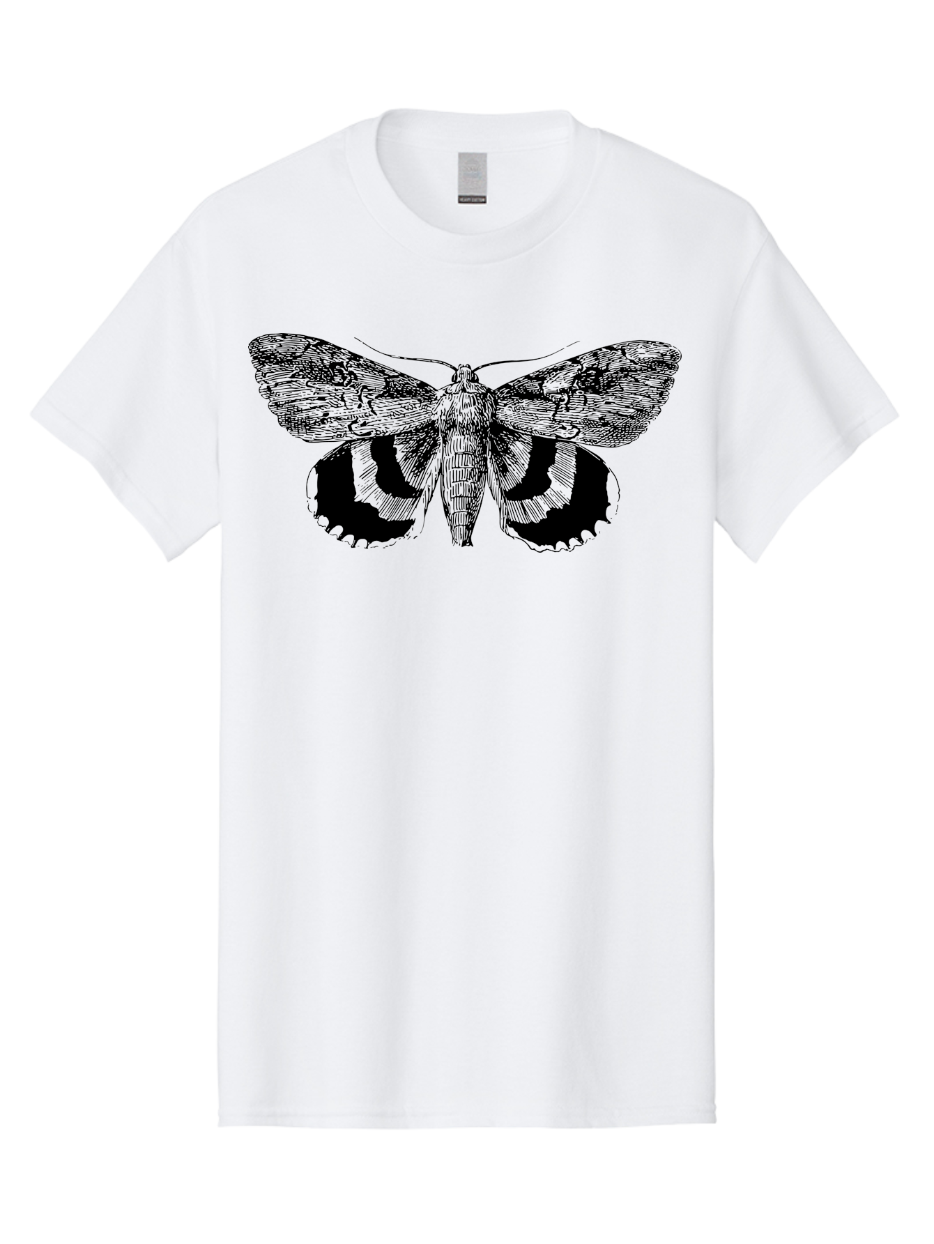 Moth-Illustration Men'S Graphic Tee, 100% Cotton, Comfortable Casual Summer Wear, Machine Washable, Black And Green Moth Illustration, Insect Art, Detailed Drawing, Wingspan, Entomology, Biological Illustration, Vintage Style, Butterfly Wings, Aab548