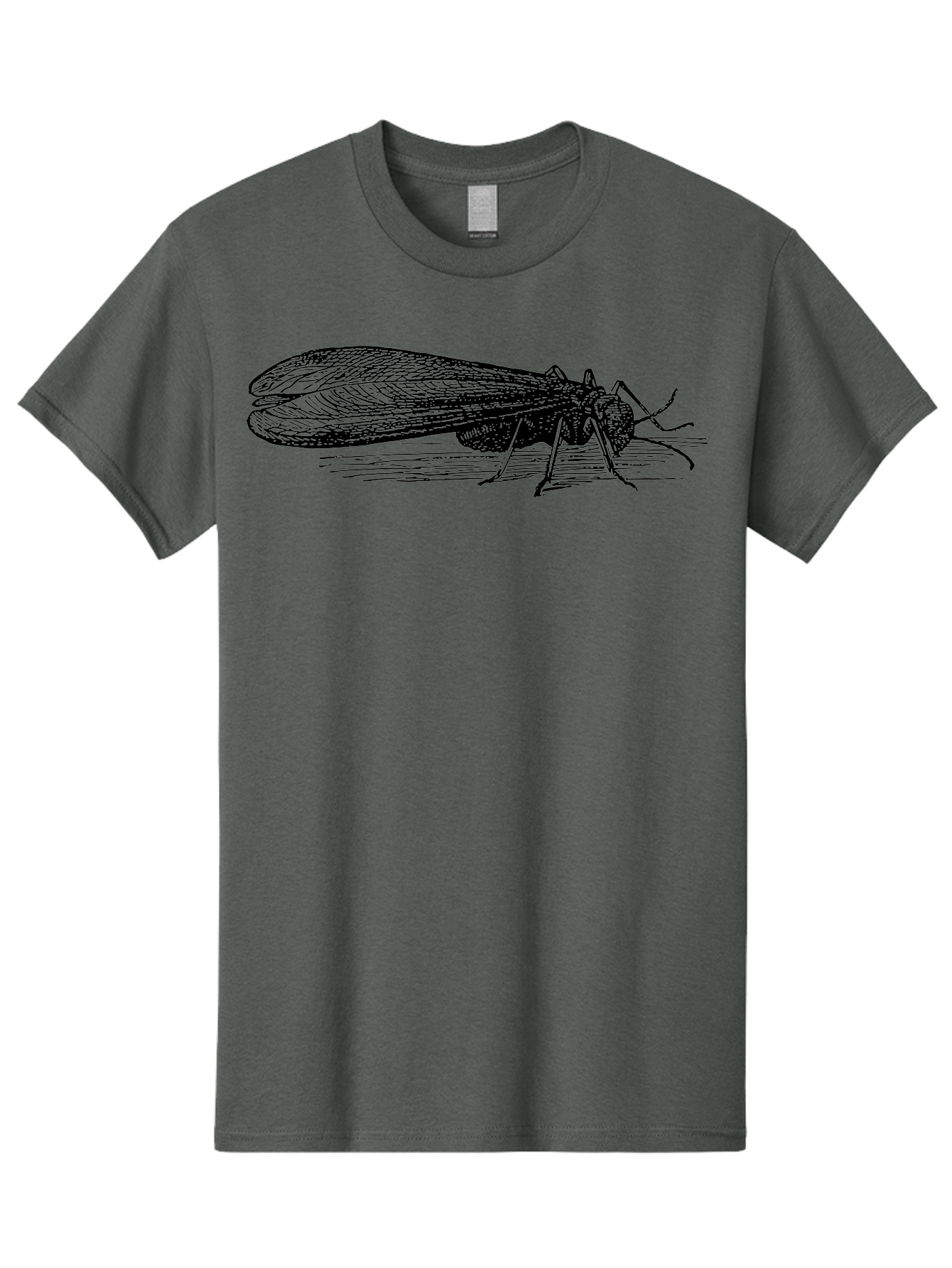 Moth Men'S Graphic Tee, 100% Cotton, Comfortable Casual Summer Wear, Machine Washable, Mayfly Insect, Vintage Illustration, Black And White Artwork, Detailed Drawing, Insect Anatomy, Entomology, Wildlife Art, Natural History, Insect Wings, Aab549