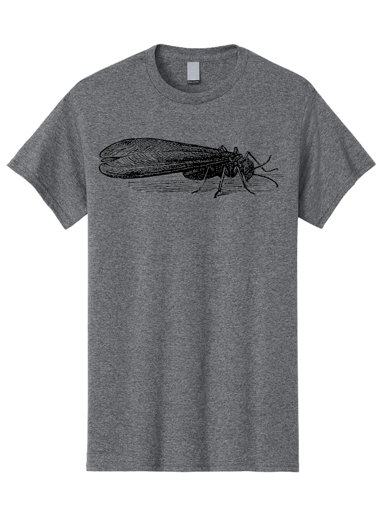 Moth Men'S Graphic Tee, 100% Cotton, Comfortable Casual Summer Wear, Machine Washable, Mayfly Insect, Vintage Illustration, Black And White Artwork, Detailed Drawing, Insect Anatomy, Entomology, Wildlife Art, Natural History, Insect Wings, Aab549