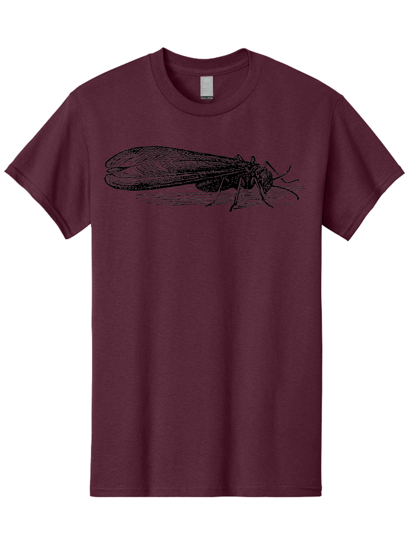 Moth Men'S Graphic Tee, 100% Cotton, Comfortable Casual Summer Wear, Machine Washable, Mayfly Insect, Vintage Illustration, Black And White Artwork, Detailed Drawing, Insect Anatomy, Entomology, Wildlife Art, Natural History, Insect Wings, Aab549