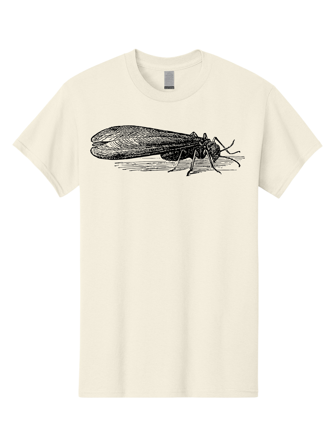 Moth Men'S Graphic Tee, 100% Cotton, Comfortable Casual Summer Wear, Machine Washable, Mayfly Insect, Vintage Illustration, Black And White Artwork, Detailed Drawing, Insect Anatomy, Entomology, Wildlife Art, Natural History, Insect Wings, Aab549