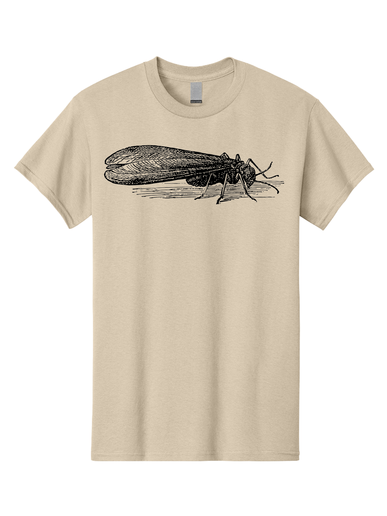 Moth Men'S Graphic Tee, 100% Cotton, Comfortable Casual Summer Wear, Machine Washable, Mayfly Insect, Vintage Illustration, Black And White Artwork, Detailed Drawing, Insect Anatomy, Entomology, Wildlife Art, Natural History, Insect Wings, Aab549