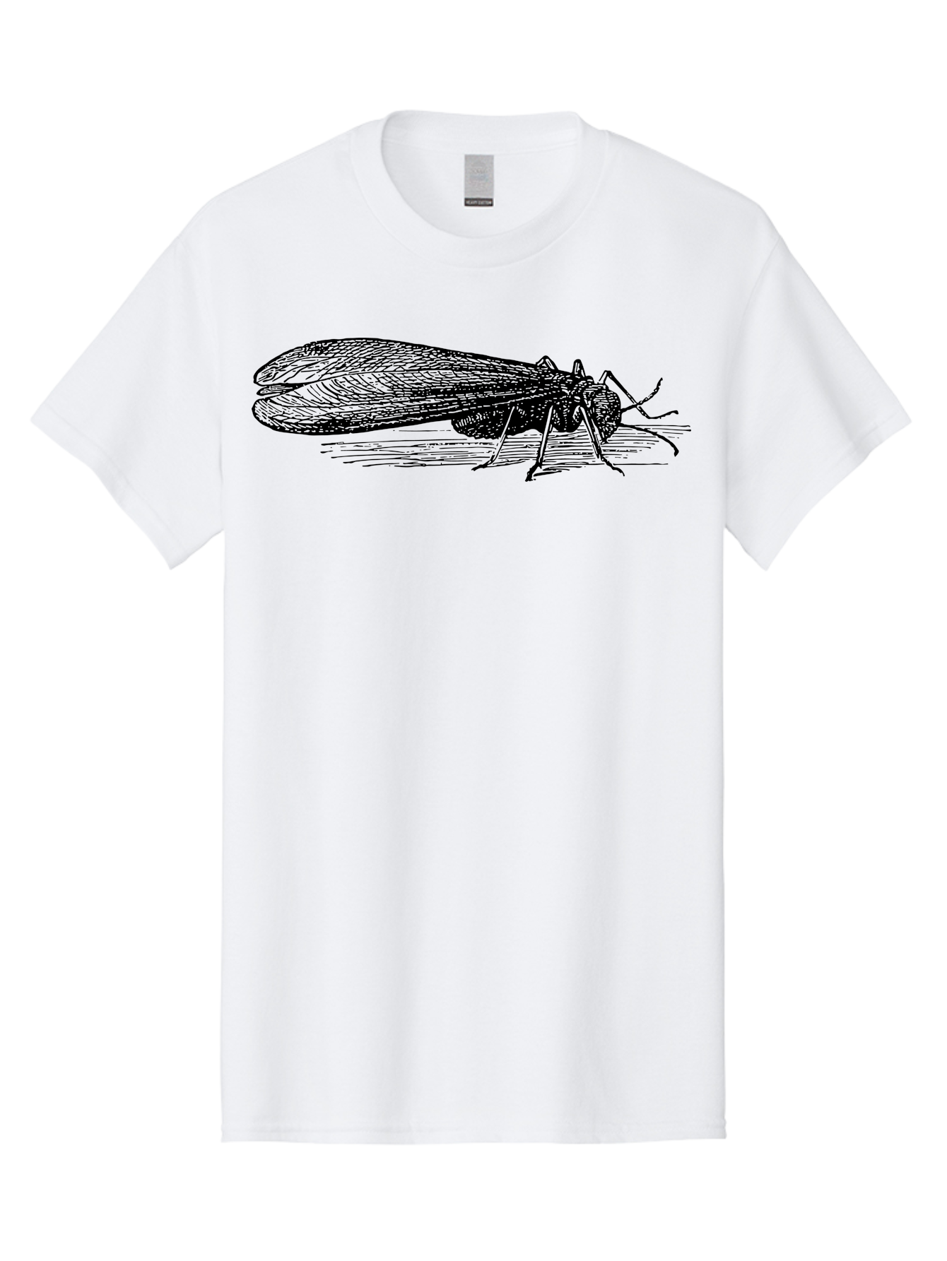Moth Men'S Graphic Tee, 100% Cotton, Comfortable Casual Summer Wear, Machine Washable, Mayfly Insect, Vintage Illustration, Black And White Artwork, Detailed Drawing, Insect Anatomy, Entomology, Wildlife Art, Natural History, Insect Wings, Aab549