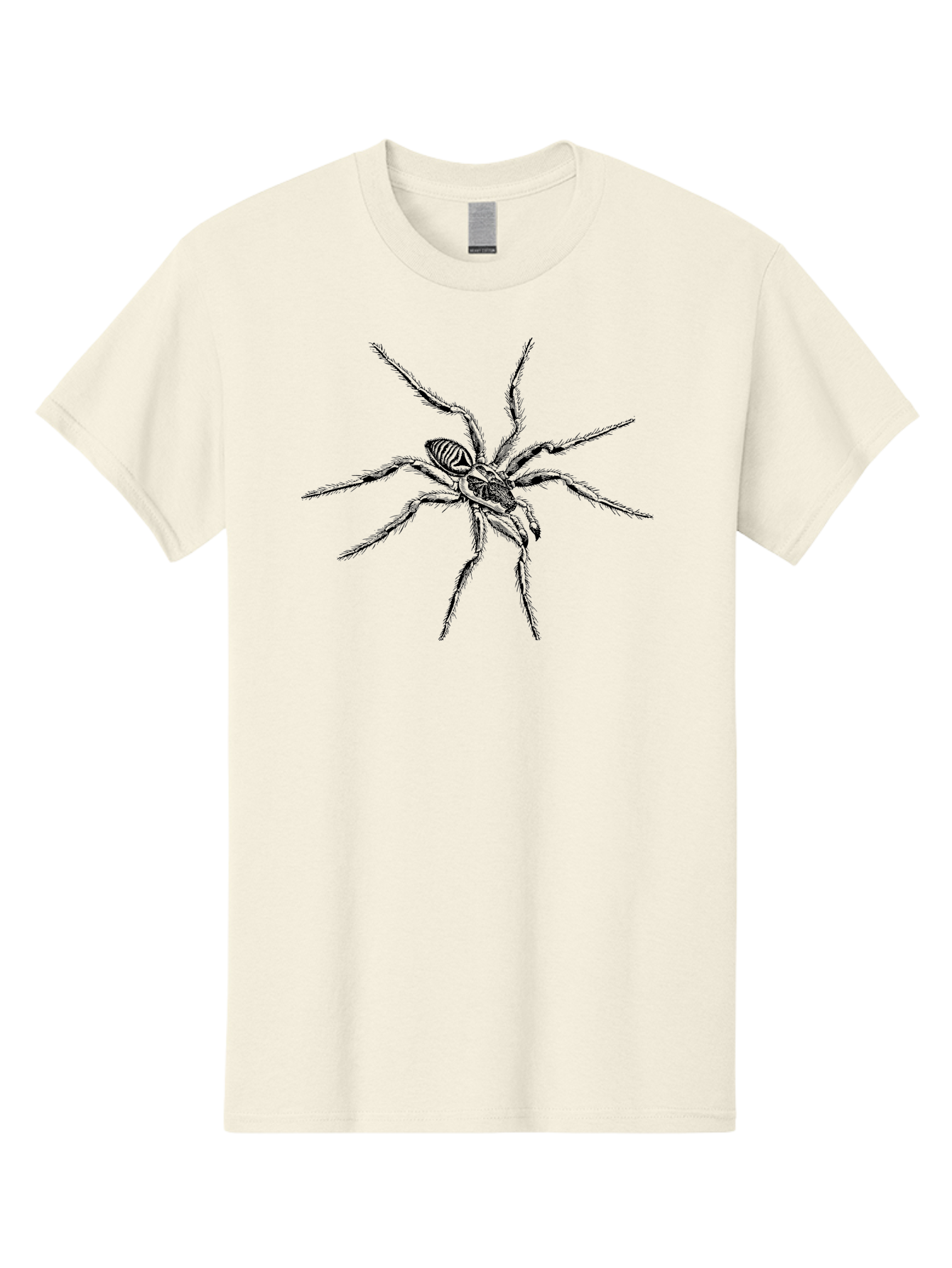 Spider-1 Men'S Graphic Tee, 100% Cotton, Comfortable Casual Summer Wear, Machine Washable, Black Spider, Eight Legs, Arachnid, Insect, Detailed Illustration, Spider Anatomy, Creepy Crawlers, Spider Art Aab552