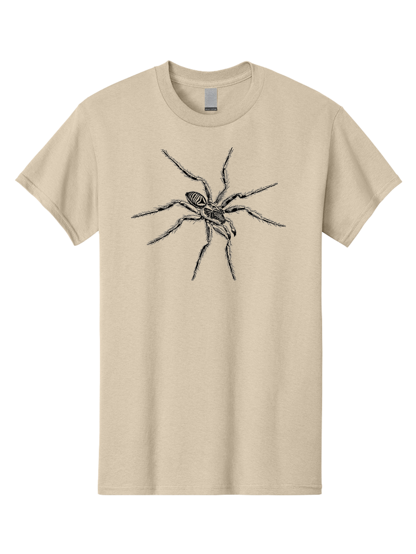 Spider-1 Men'S Graphic Tee, 100% Cotton, Comfortable Casual Summer Wear, Machine Washable, Black Spider, Eight Legs, Arachnid, Insect, Detailed Illustration, Spider Anatomy, Creepy Crawlers, Spider Art Aab552