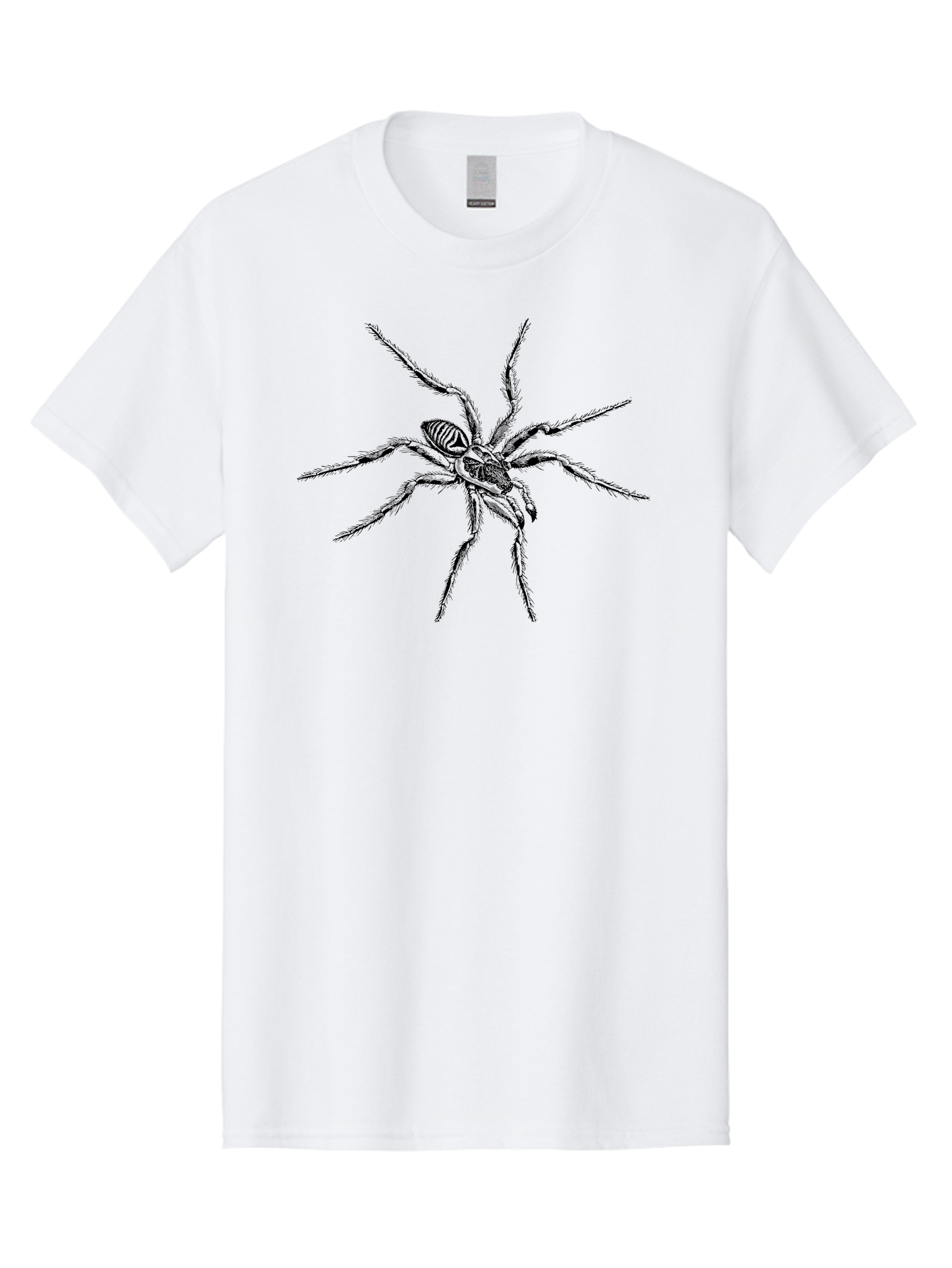 Spider-1 Men'S Graphic Tee, 100% Cotton, Comfortable Casual Summer Wear, Machine Washable, Black Spider, Eight Legs, Arachnid, Insect, Detailed Illustration, Spider Anatomy, Creepy Crawlers, Spider Art Aab552