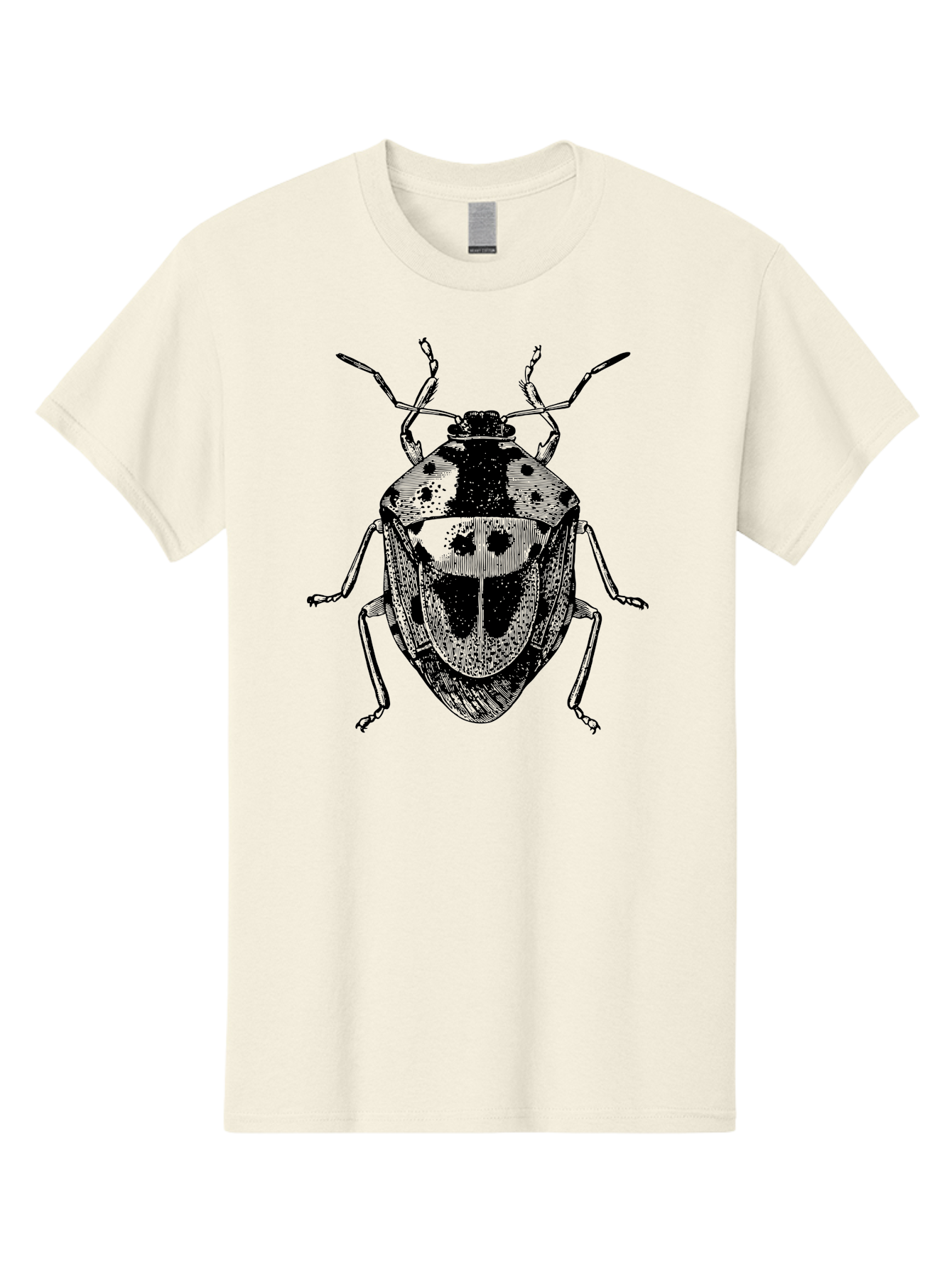 Spotted-Shield-Bug Men'S Graphic Tee, 100% Cotton, Comfortable Casual Summer Wear, Machine Washable, Shield Bug, Insect, Entomology, Bug Illustration, Black And Green, Detailed Drawing, Insect Anatomy, Bug Species, Natural History Aab555