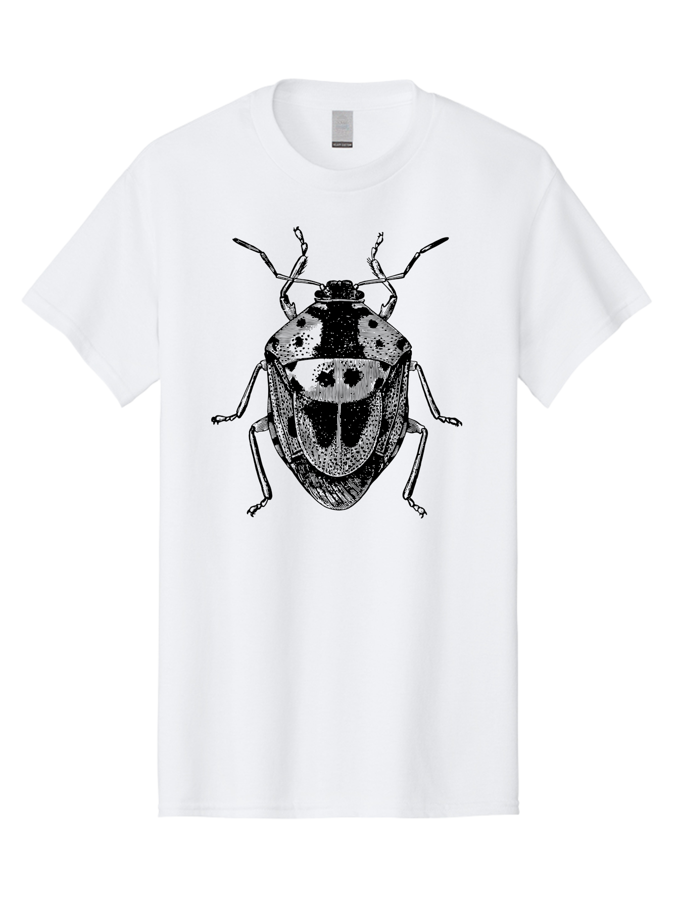 Spotted-Shield-Bug Men'S Graphic Tee, 100% Cotton, Comfortable Casual Summer Wear, Machine Washable, Shield Bug, Insect, Entomology, Bug Illustration, Black And Green, Detailed Drawing, Insect Anatomy, Bug Species, Natural History Aab555