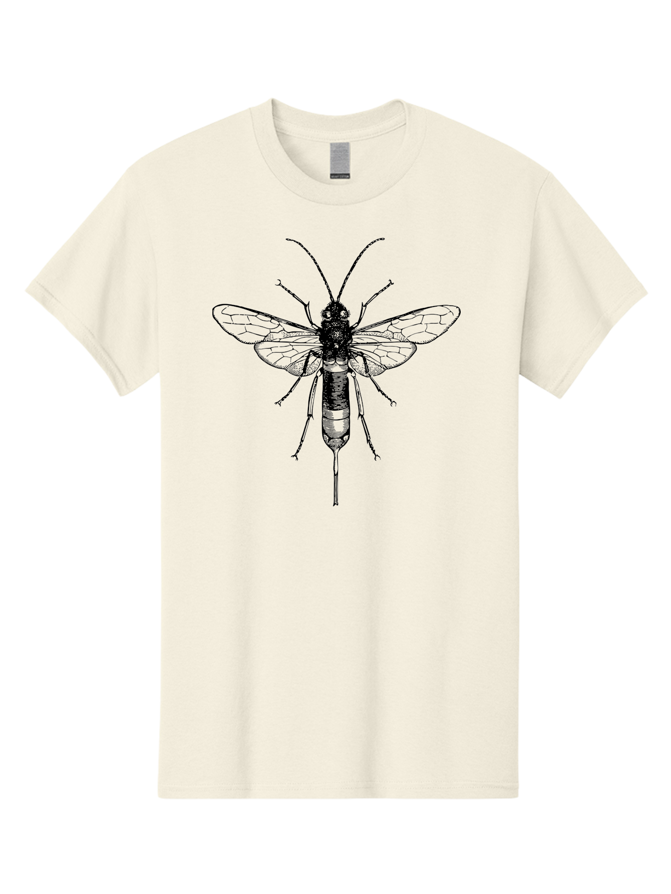 Wasp Men'S Graphic Tee, 100% Cotton, Comfortable Casual Summer Wear, Machine Washable, Black And Green Wasp, Insect Anatomy, Entomology Illustration, Detailed Drawing, Scientific Art, Insect Wings, Wasp Body, Bug Illustration Aab560