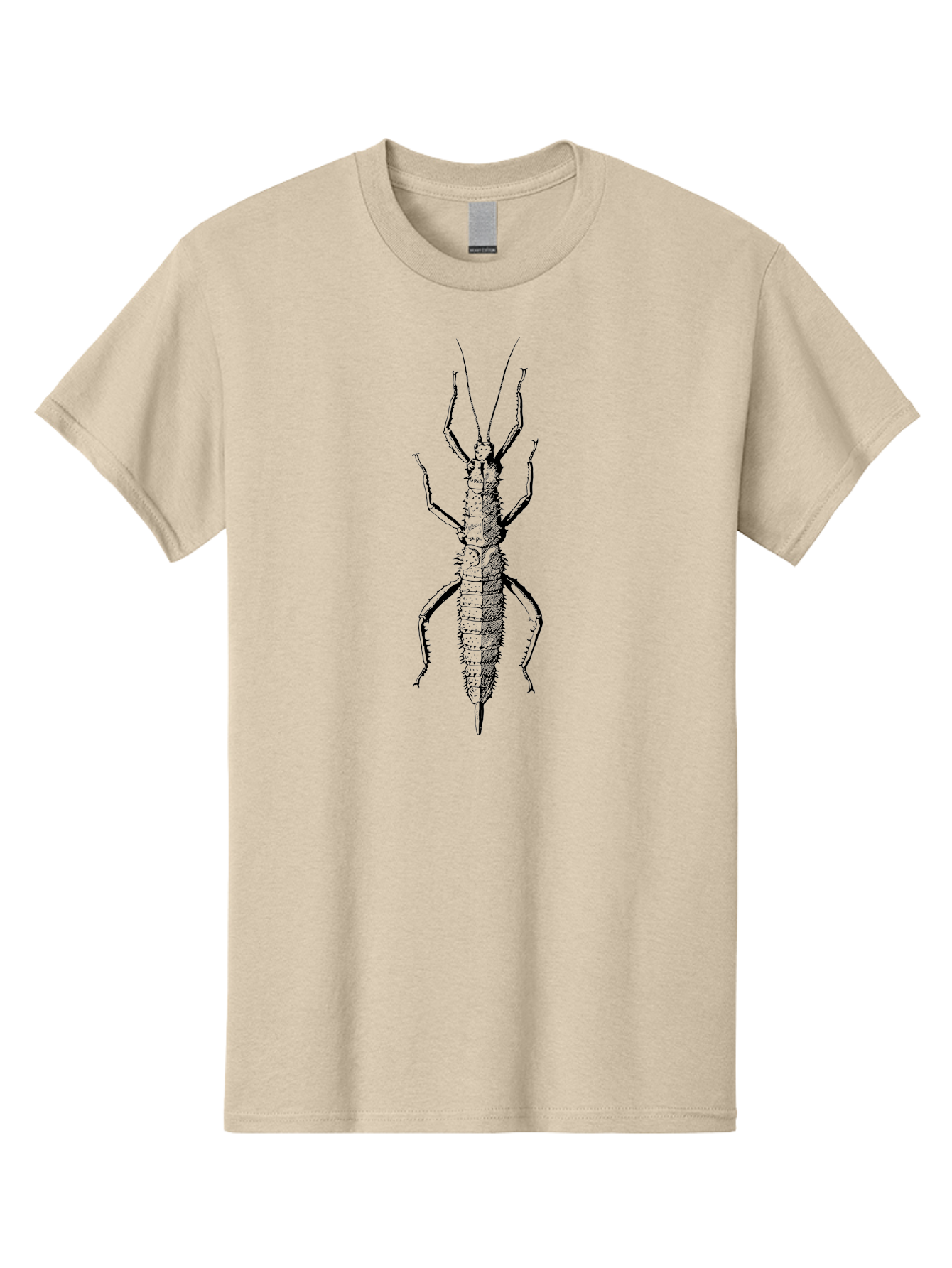 Weta Men'S Graphic Tee, 100% Cotton, Comfortable Casual Summer Wear, Machine Washable, Weta Insect, Native New Zealand Bug, Black Illustration, Entomology Art, Insect Anatomy, Detailed Drawing, Wildlife Illustration Aab561