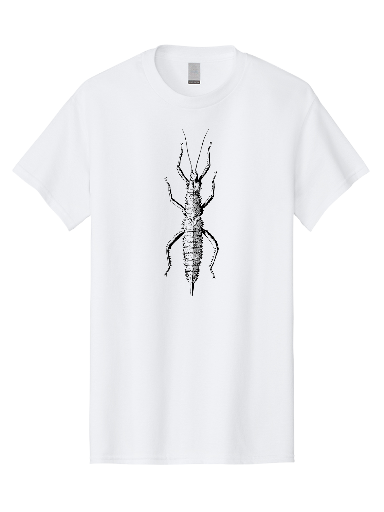Weta Men'S Graphic Tee, 100% Cotton, Comfortable Casual Summer Wear, Machine Washable, Weta Insect, Native New Zealand Bug, Black Illustration, Entomology Art, Insect Anatomy, Detailed Drawing, Wildlife Illustration Aab561