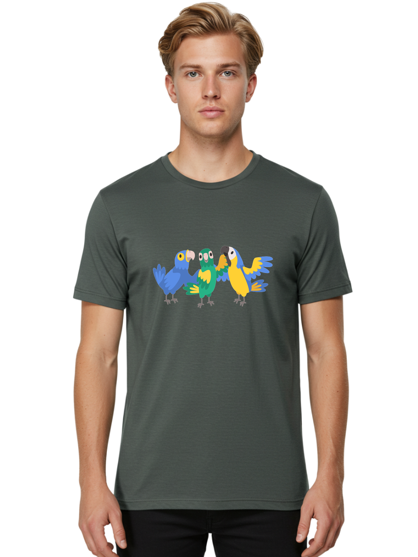 Three-Parrots-1 Men'S Graphic Tee, 100% Cotton, Comfortable Casual Summer Wear, Machine Washable, Colorful Parrots, Vibrant Plumage, Playful Birds, Blue And Yellow Feathers, Parrot Illustration, Playful Interaction, Wild Birds, Parrot Species Aab891