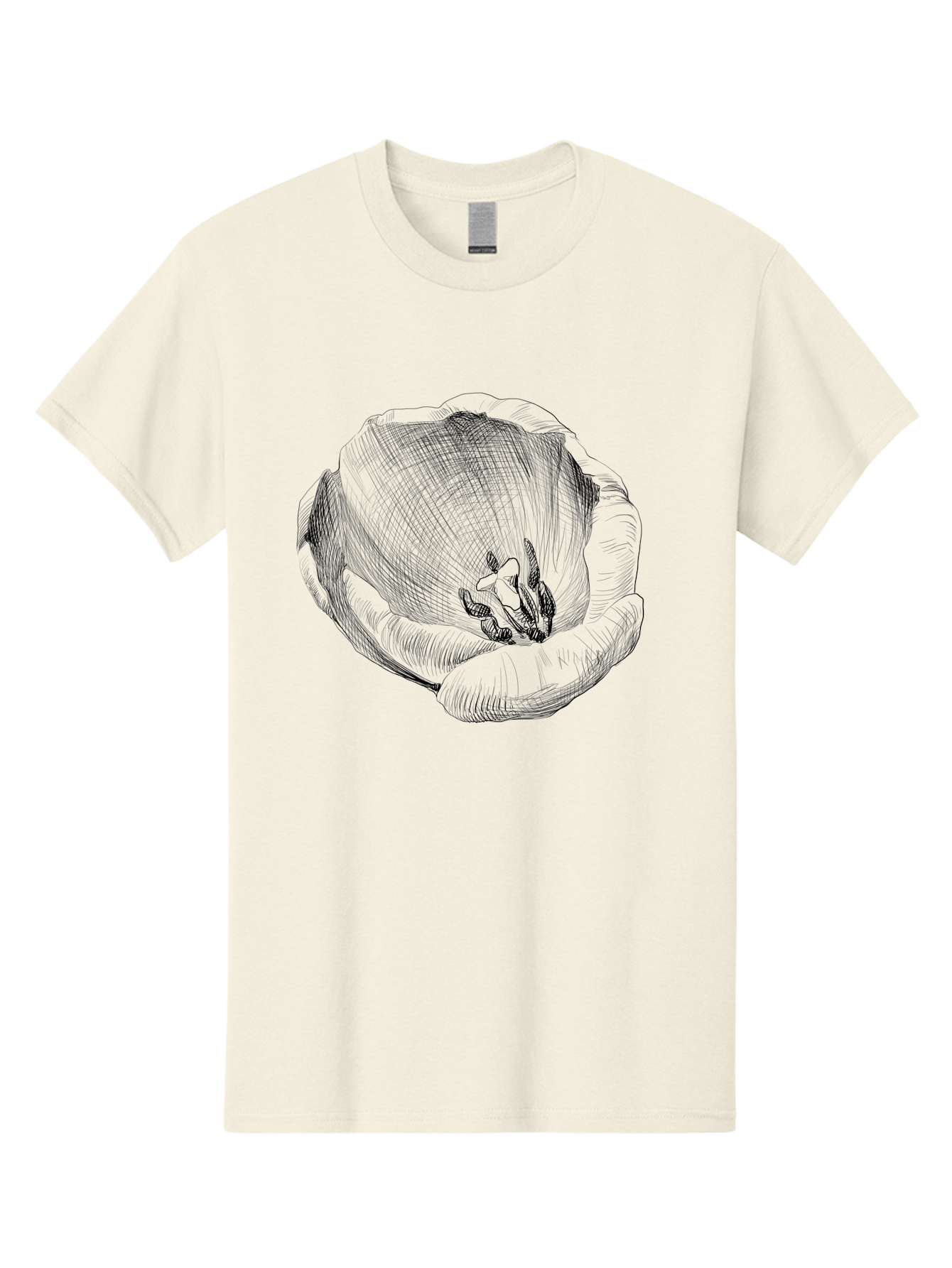Tulip-1 Men'S Graphic Tee, 100% Cotton, Comfortable Casual Summer Wear, Machine Washable, Tulip Flower, Floral Illustration, Botanical Art, Hand-Drawn Design, Elegant Petals, Delicate Lines, Artistic Expression, Flower Drawing Aac276
