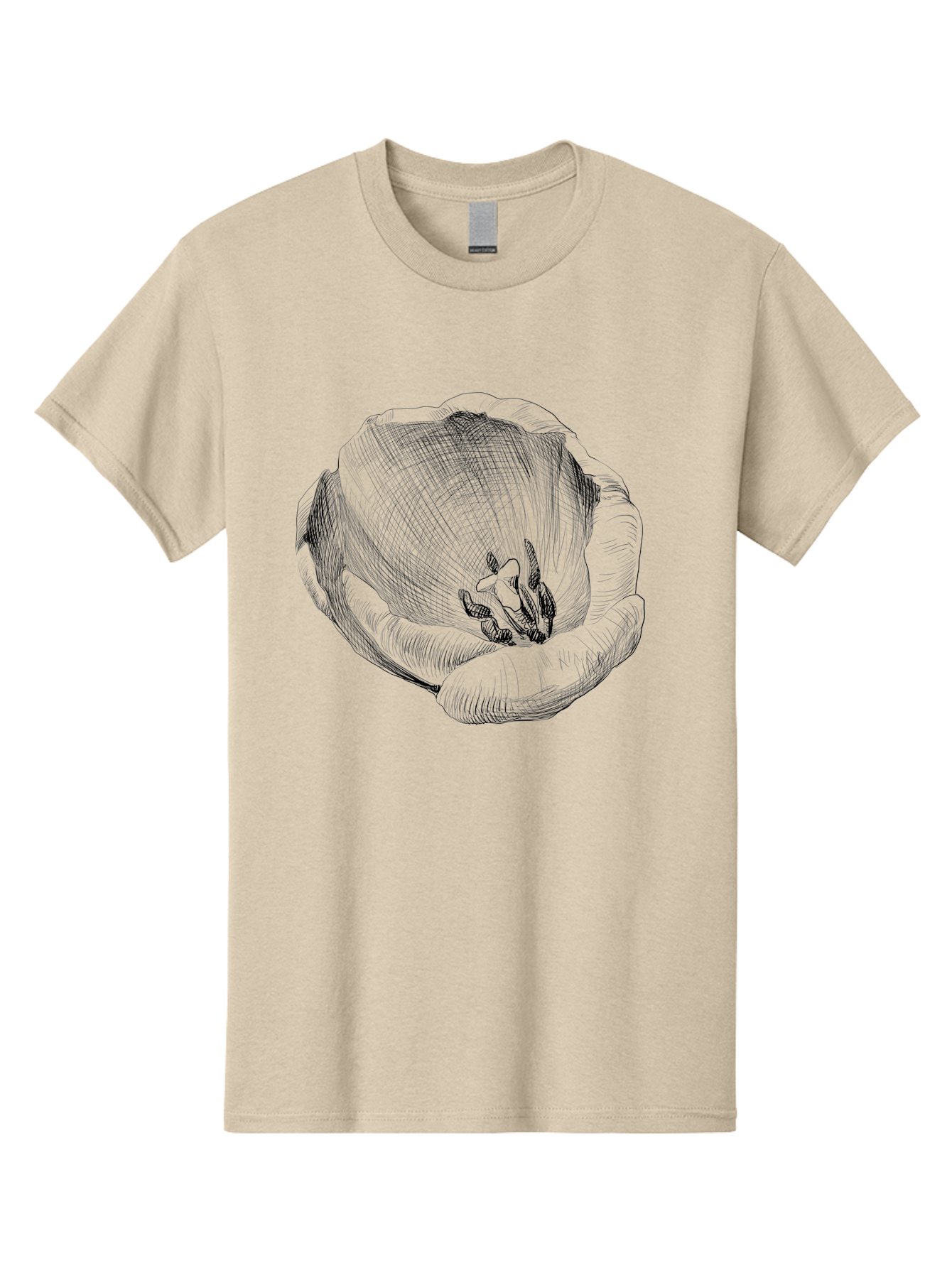 Tulip-1 Men'S Graphic Tee, 100% Cotton, Comfortable Casual Summer Wear, Machine Washable, Tulip Flower, Floral Illustration, Botanical Art, Hand-Drawn Design, Elegant Petals, Delicate Lines, Artistic Expression, Flower Drawing Aac276