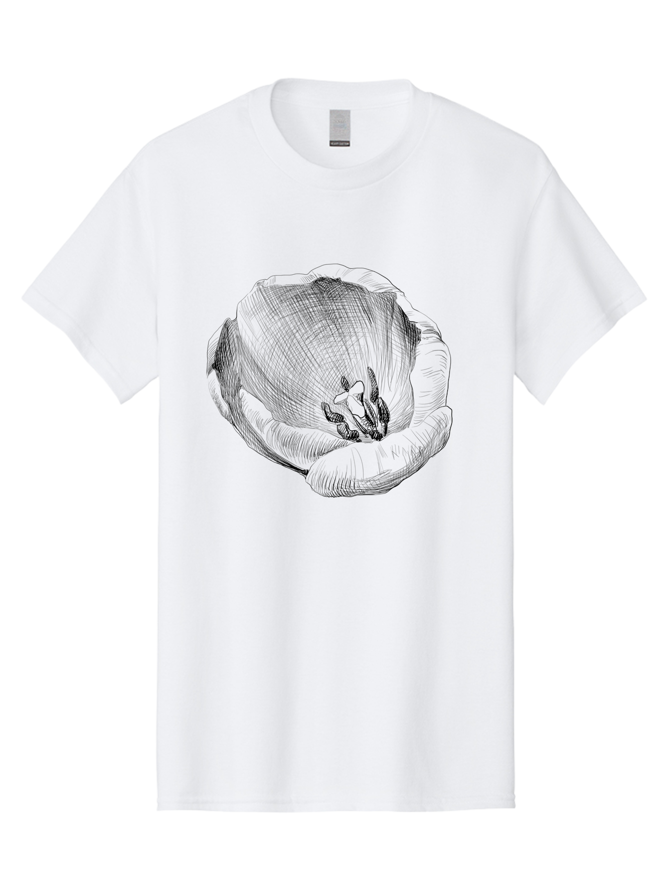 Tulip-1 Men'S Graphic Tee, 100% Cotton, Comfortable Casual Summer Wear, Machine Washable, Tulip Flower, Floral Illustration, Botanical Art, Hand-Drawn Design, Elegant Petals, Delicate Lines, Artistic Expression, Flower Drawing Aac276