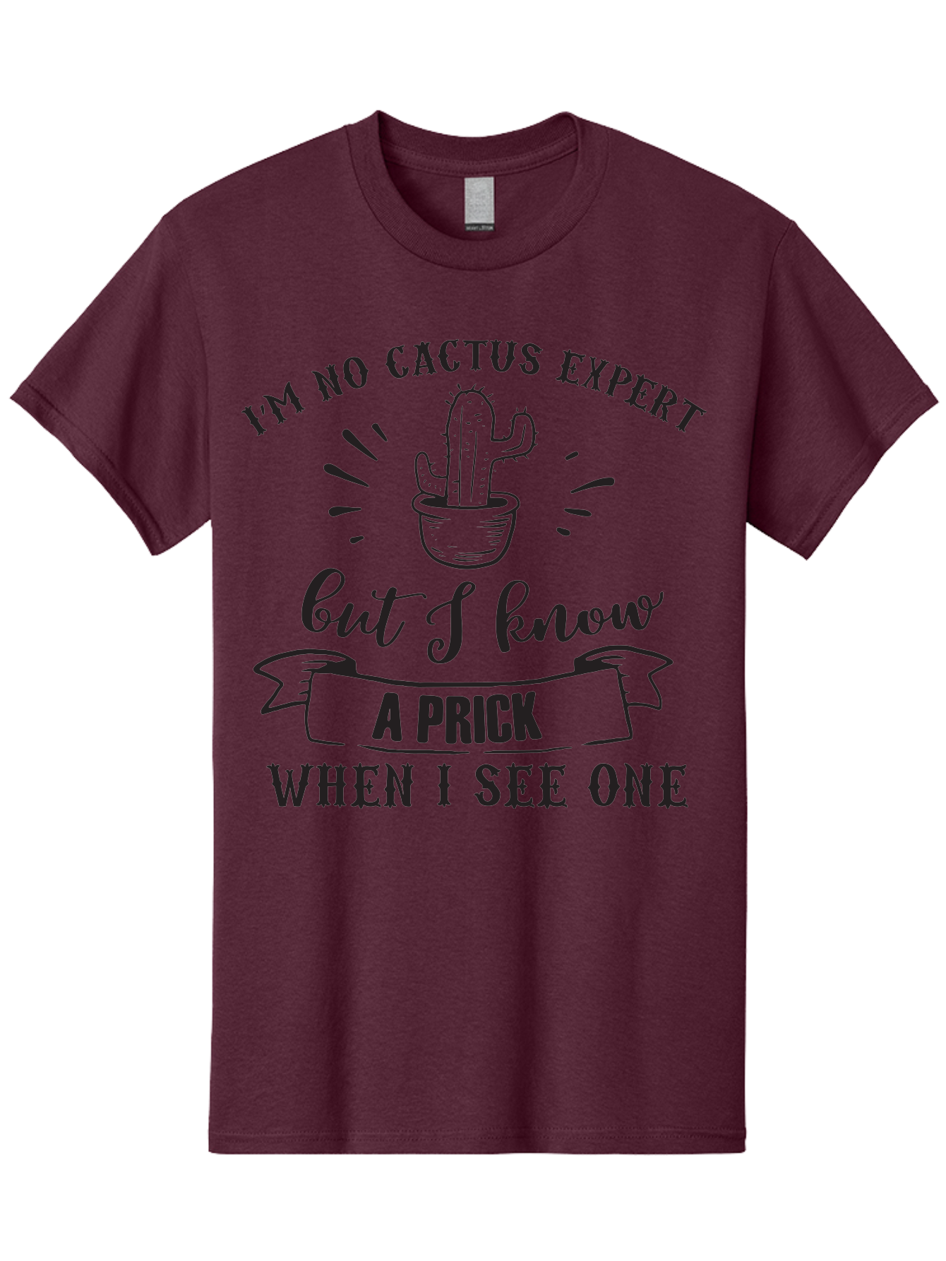Cactus-Expert Men'S Graphic Tee, 100% Cotton, Comfortable Casual Summer Wear, Machine Washable, Funny Cactus Quote, Sarcastic Saying, Humorous Graphic, Cactus Illustration, Witty Phrase, Sassy Design, Playful Pun Aac558