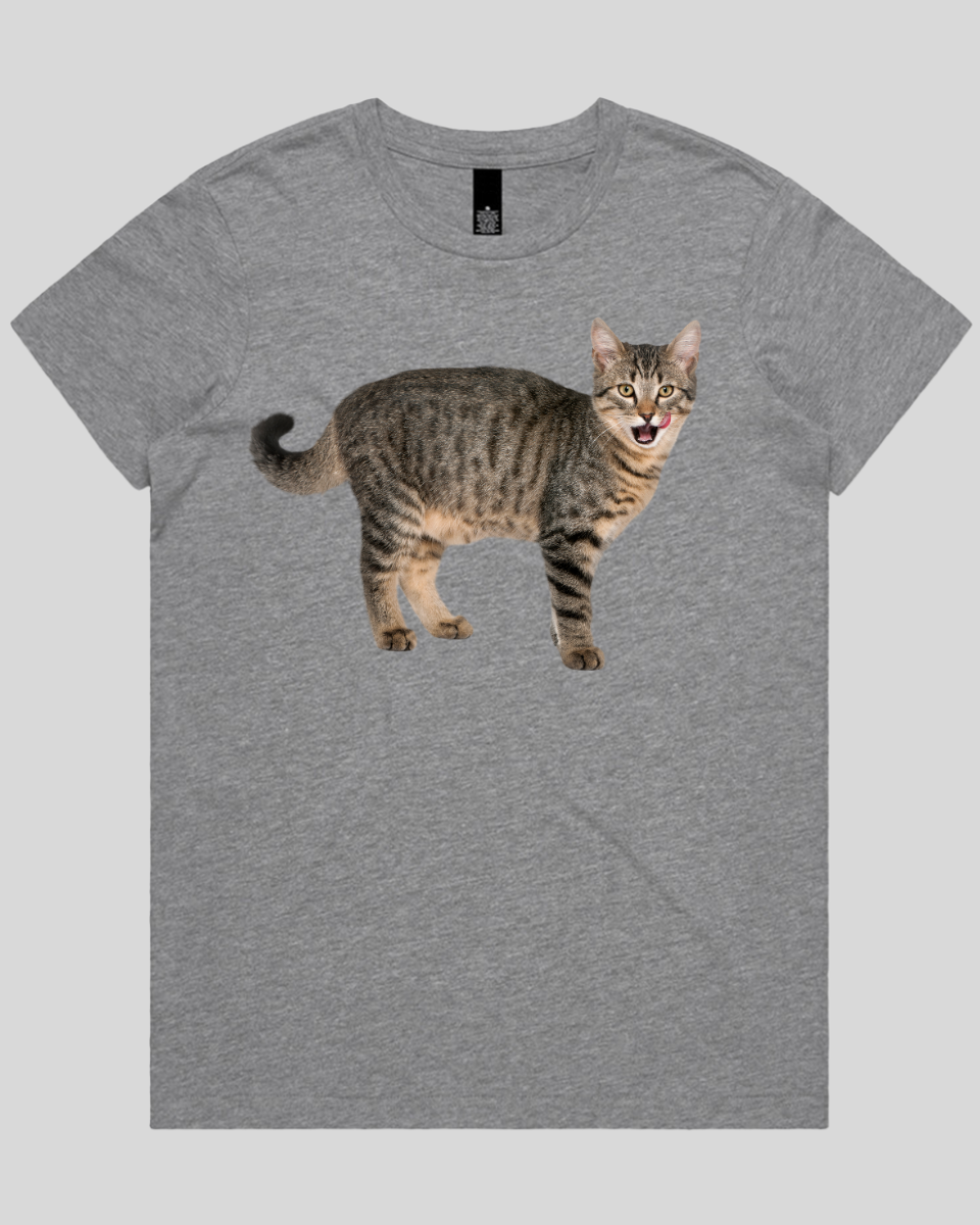 Hungry cat Women's T-Shirt