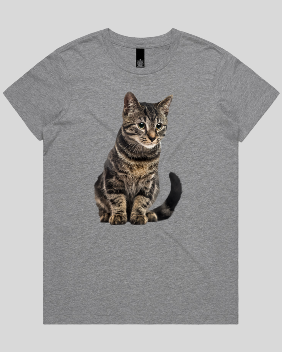 Focused Cat Women's T-Shirt