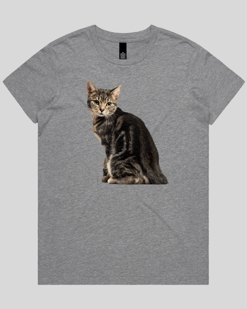 Cautious Cat Women's T-Shirt