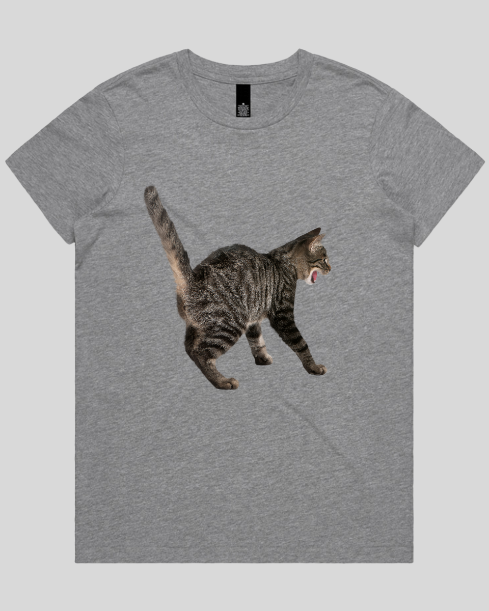 Scared Cat Women's T-Shirt